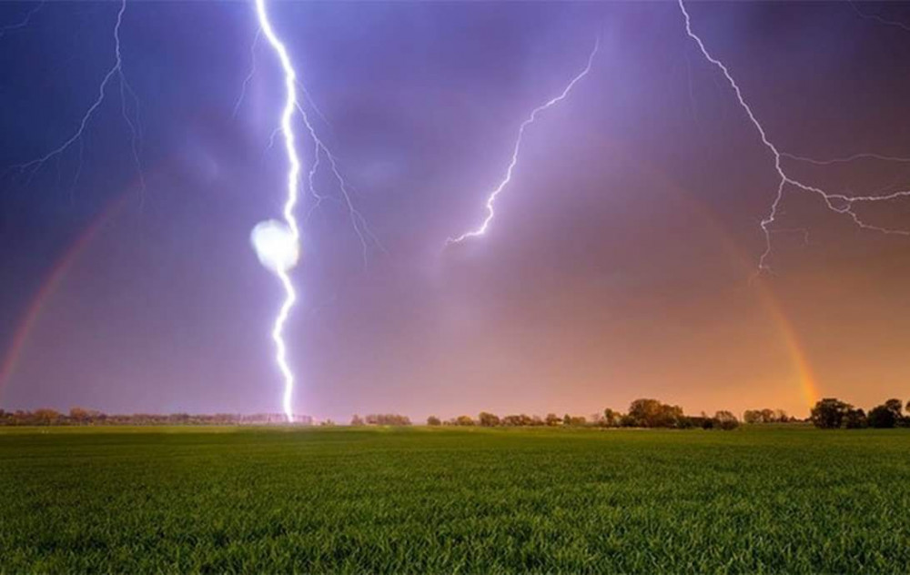b&agrave; Đỗ Thị T. kh&ocirc;ng may bị s&eacute;t đ&aacute;nh tử vong khi đang gieo sạ l&uacute;a - ảnh minh họa