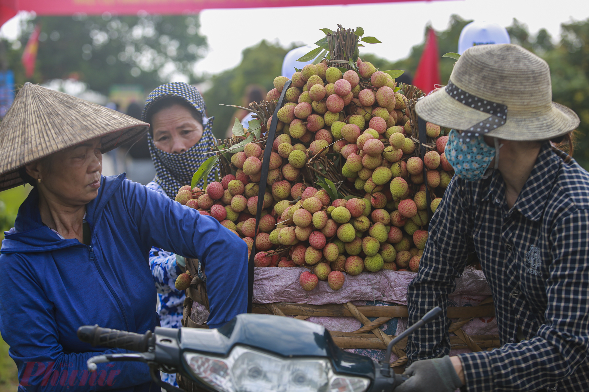 C&ugrave;ng với đ&oacute;, tỉnh tiếp tục đẩy mạnh kết nối ti&ecirc;u thụ vải thiều Thanh H&agrave; v&agrave; c&aacute;c sản phẩm ti&ecirc;u biểu tr&ecirc;n nền tảng số, ứng dụng thương mại điện tử, tr&ecirc;n c&aacute;c k&ecirc;nh th&ocirc;ng tin truyền th&ocirc;ng đa phương tiện ph&ugrave; hợp với xu thế thời đại 4.0.