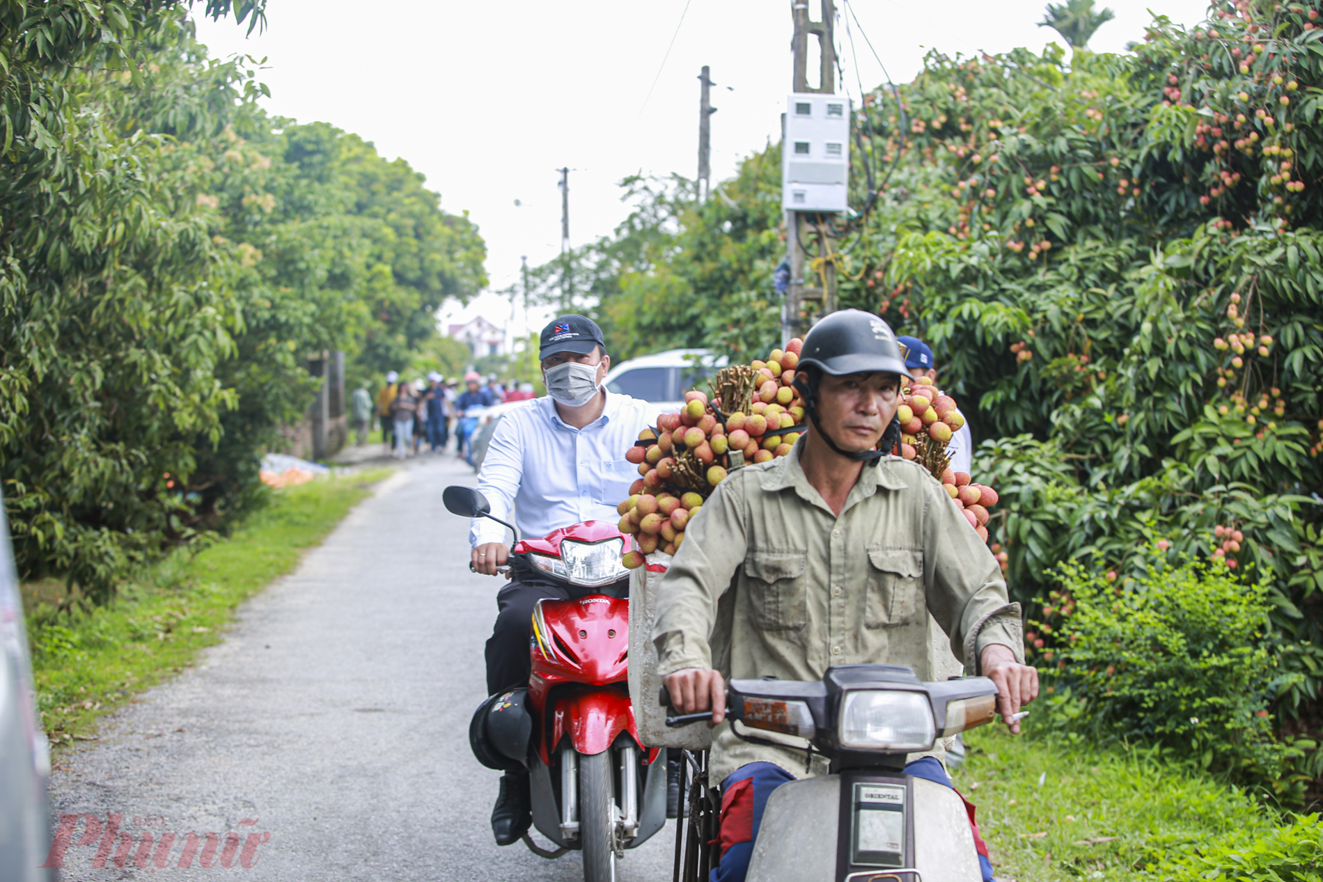Để đảm bảo ổn định đầu ra cho vải Thanh H&agrave;, trong buổi s&aacute;ng 29/5, UBND tỉnh Hải Dương đ&atilde; tổ chức Hội nghị x&uacute;c tiến thương mại vải thiều Thanh H&agrave; v&agrave; sản phẩm ti&ecirc;u biểu tỉnh Hải Dương năm 2022. Đ&acirc;y l&agrave; hoạt động nhằm quảng b&aacute; c&aacute;c tiềm năng, những ch&iacute;nh s&aacute;ch ưu đ&atilde;i của tỉnh nhằm thu h&uacute;t đầu tư v&agrave;o lĩnh vực n&ocirc;ng nghiệp, thương mại, dịch vụ. 