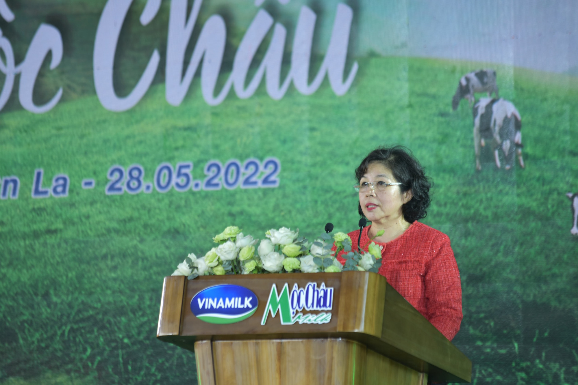 B&agrave; Mai Kiều Li&ecirc;n ph&aacute;t biểu về c&aacute;c định hướng chiến lược đối với dự &aacute;n