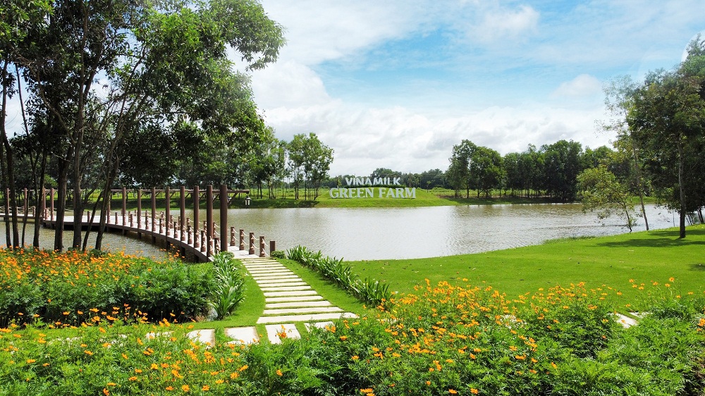 Trang trại sinh th&aacute;i Vinamilk Green Farm đang được Vinamilk đầu tư ph&aacute;t triển v&agrave; nh&acirc;n rộng