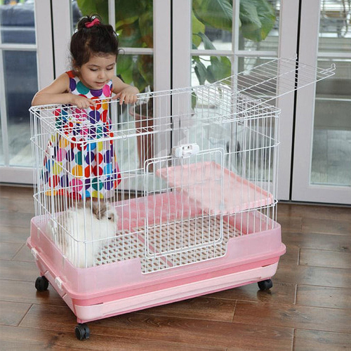 Thỏ Trong khi một số thỏ cần một c&aacute;i lồng hoặc c&aacute;i chuồng lớn hơn để c&oacute; thể vừa vặn thoải m&aacute;i trong một căn hộ nhỏ, th&igrave; c&oacute; những con thỏ nhỏ hơn lại c&oacute; thể sống tốt với một kh&ocirc;ng gian nhỏ. C&aacute;c giống ch&oacute; như Netherland Dwarf v&agrave; Mini Satin c&oacute; thể ph&aacute;t triển mạnh trong những ng&ocirc;i nh&agrave; nhỏ hơn v&agrave; ch&uacute;ng thậm ch&iacute; c&oacute; thể được huấn luyện tại nh&agrave; . Thỏ c&oacute; t&iacute;nh x&atilde; hội v&agrave; th&iacute;ch bầu bạn với những con thỏ kh&aacute;c hoặc thậm ch&iacute; l&agrave; một con lợn Guinea, v&agrave; ch&uacute;ng rất y&ecirc;u thương v&agrave; tr&igrave;u mến. Bạn thậm ch&iacute; c&oacute; thể dạy họ thủ thuật !  Thỏ dễ thương tr&ecirc;n ghế sofa C&acirc;n nhắc cho Thỏ trong Căn hộ Điều quan trọng l&agrave; phải chống thỏ cho tất cả c&aacute;c d&acirc;y điện hoặc d&acirc;y điện tiếp x&uacute;c trong căn hộ, v&igrave; thỏ c&oacute; thể nhai ngay ch&uacute;ng. Huấn luyện thỏ sử dụng hộp vệ sinh c&oacute; thể gi&uacute;p bảo vệ thảm của bạn.