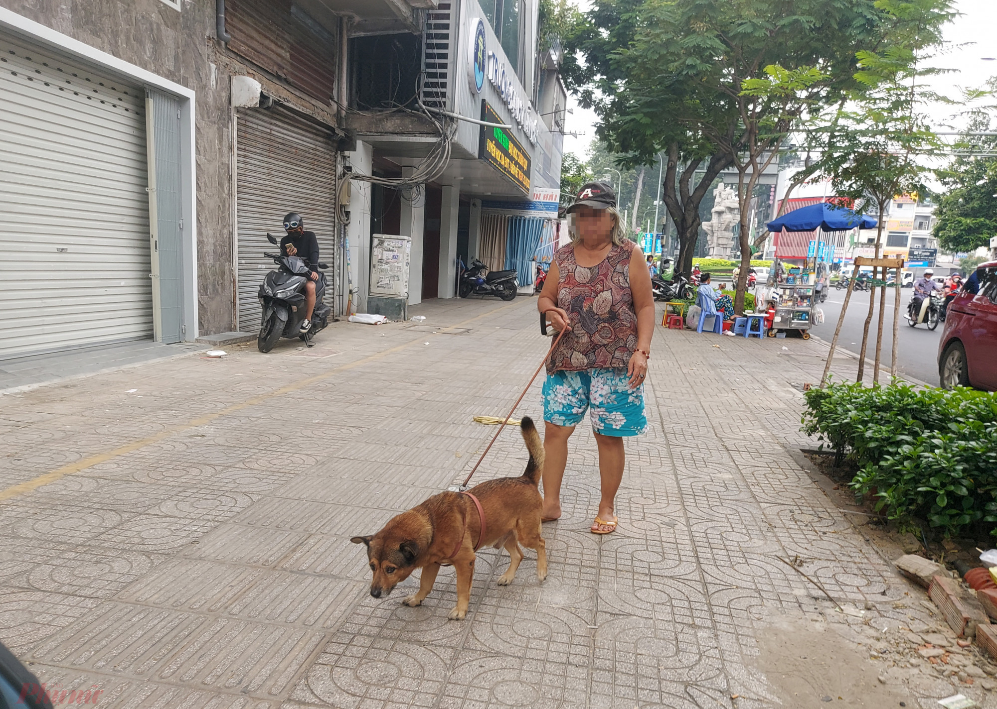 Một người dắt ch&oacute; kh&ocirc;ng rọ m&otilde; tr&ecirc;n đường Điện Bi&ecirc;n Phủ v&agrave; cho ph&oacute;ng uế tr&ecirc;n vỉa h&egrave; - ảnh: Ho&agrave;ng L&acirc;m.