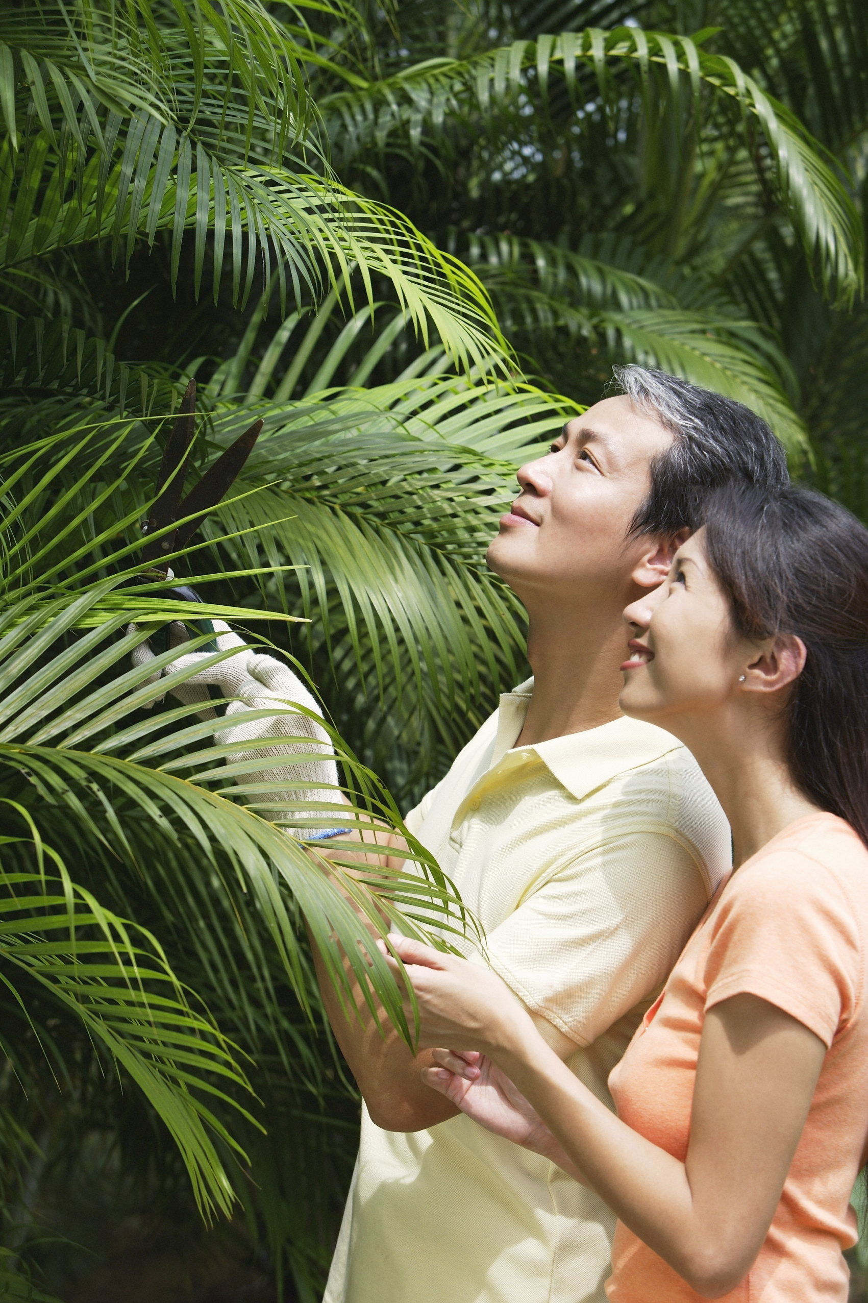 Ảnh mang t&iacute;nh minh họa - SHUTTERSTOCK