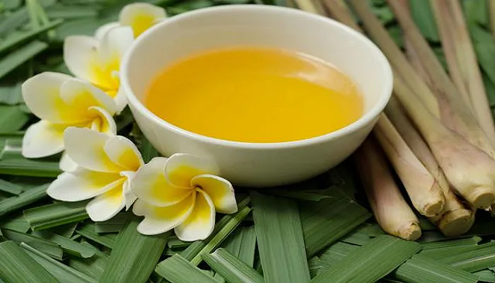 C&acirc;y sả  Tinh dầu sả được lấy từ l&aacute; v&agrave; th&acirc;n của một loại cỏ gọi l&agrave; cymbopogon nardus. N&oacute; được ch&iacute;nh thức c&ocirc;ng nhận l&agrave; một loại thuốc trừ s&acirc;u sinh học c&oacute; nguồn gốc thực vật, kh&ocirc;ng độc hại tại Hoa Kỳ. Bạn c&oacute; thể sử dụng n&oacute; xung quanh nh&agrave; m&agrave; kh&ocirc;ng cần lo lắng về việc n&oacute; c&oacute; bất kỳ ảnh hưởng xấu n&agrave;o đến vật nu&ocirc;i của bạn hoặc m&ocirc;i trường. Tr&ecirc;n thực tế, v&igrave; tinh dầu sả c&oacute; t&aacute;c dụng xua đuổi nhiều loại c&ocirc;n tr&ugrave;ng - bao gồm muỗi, ruồi đen, bọ ch&eacute;t v&agrave; bọ ve - n&ecirc;n n&oacute; l&agrave; một th&agrave;nh phần phổ biến trong nhiều sản phẩm chống c&ocirc;n tr&ugrave;ng được b&aacute;n tr&ecirc;n kệ, từ miếng d&aacute;n muỗi đến nến thơm.