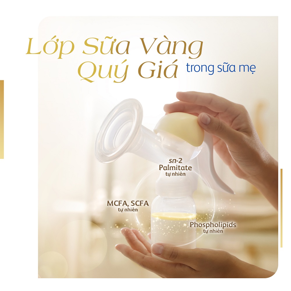 3 ti&ecirc;u chuẩn v&agrave;ng của sữa mẹ c&oacute; chứa c&aacute;c tinh chất dinh dưỡng v&agrave; kh&aacute;ng thể gi&uacute;p tăng cường hệ miễn dịch hiệu quả, dễ d&agrave;ng ti&ecirc;u h&oacute;a, hấp thu v&agrave; ph&aacute;t triển tr&iacute; n&atilde;o v&agrave; thị gi&aacute;c