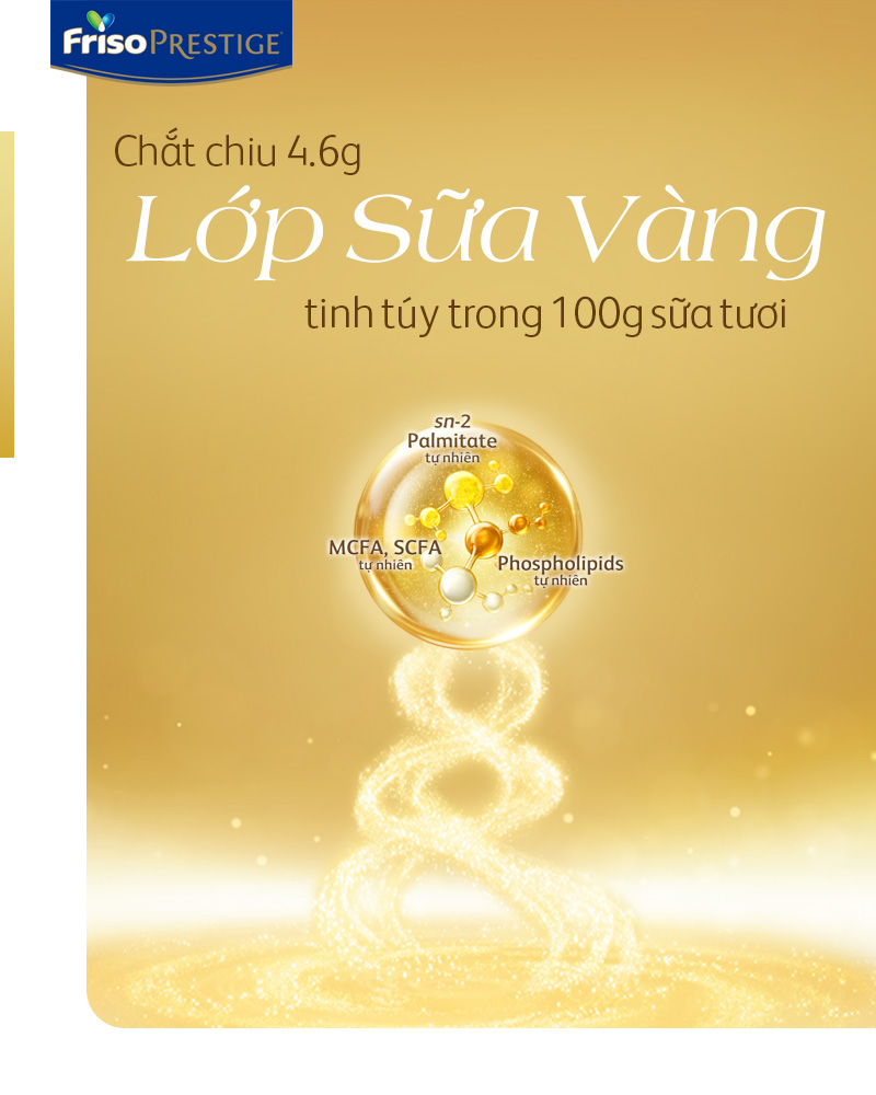 Friso Prestige được chắt chiu từ lớp sữa v&agrave;ng tinh t&uacute;y gi&agrave;u dưỡng chất với 4,6g/100g sữa tươi