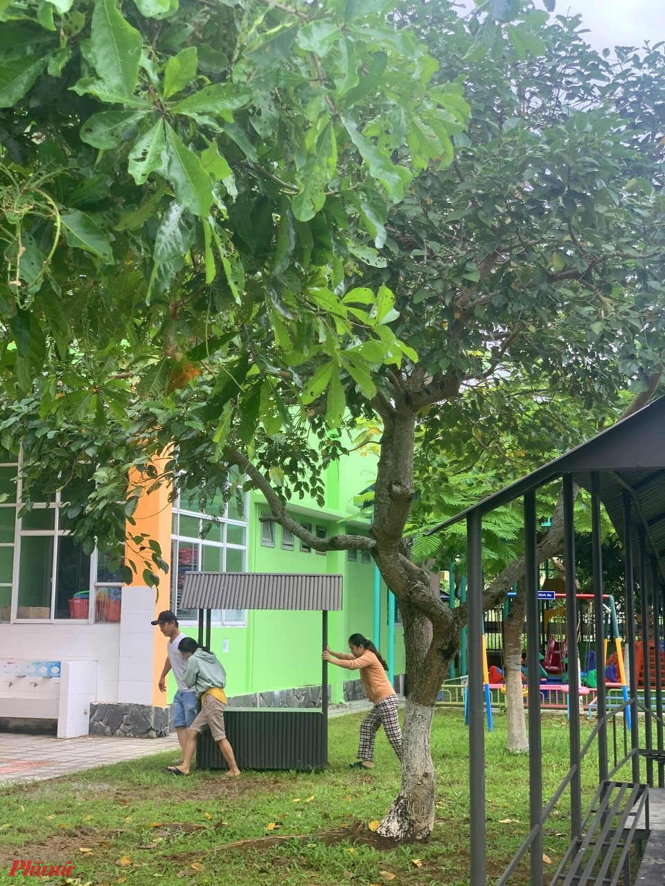 B&ecirc;n cạnh đ&oacute; c&aacute;c c&ocirc; gi&aacute;o c&ograve;n nhận được sự hỗ trợ của người d&acirc;n đại phương trong việc dọn dẹp, chặt tỉa c&acirc;y xanh trong khu&ocirc;n vi&ecirc;n s&acirc;n trường