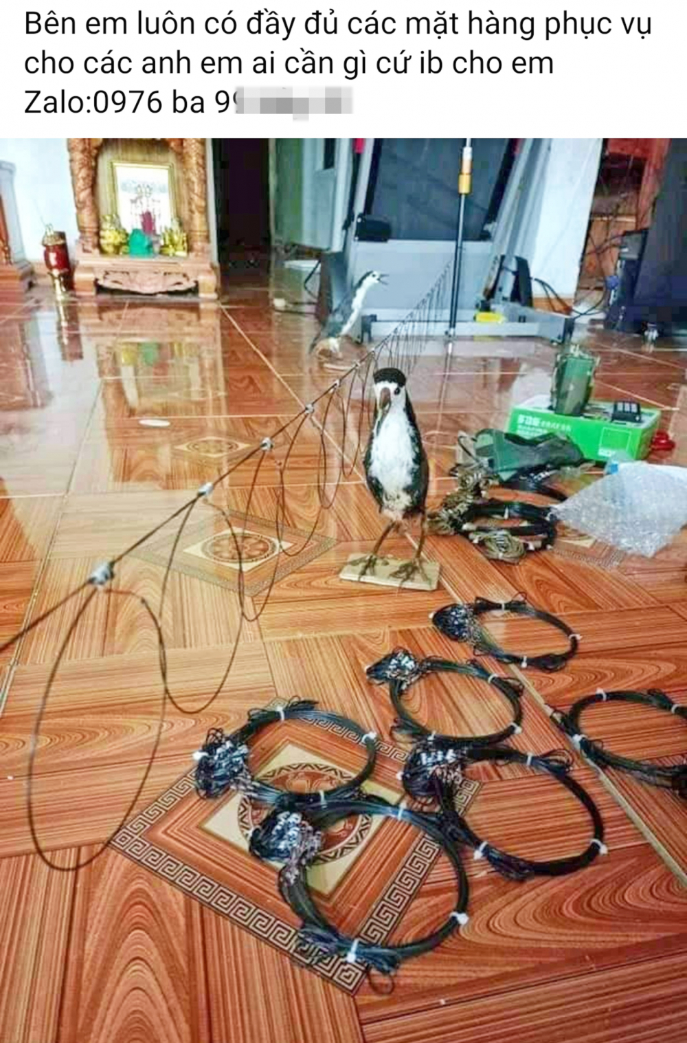 Nhiều trang mạng c&ocirc;ng khai rao b&aacute;n bẫy chim, th&uacute; rừng