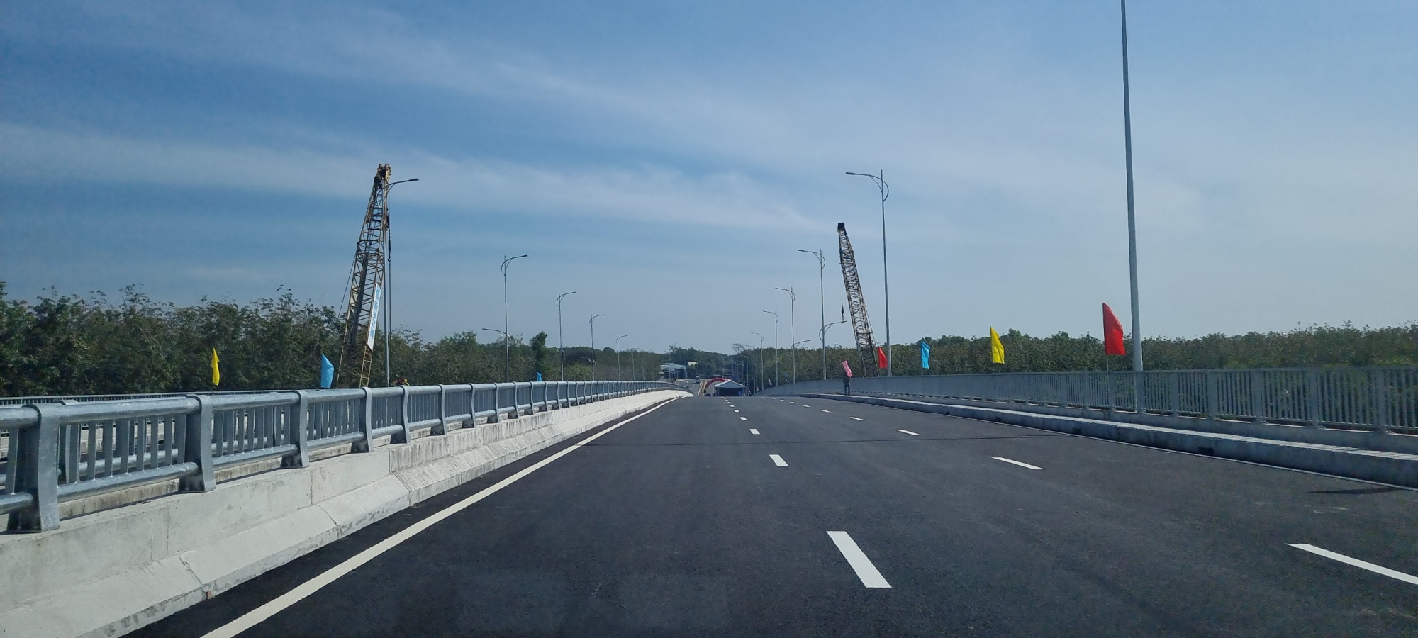 C&acirc;y cầu nối 2 tỉnh 