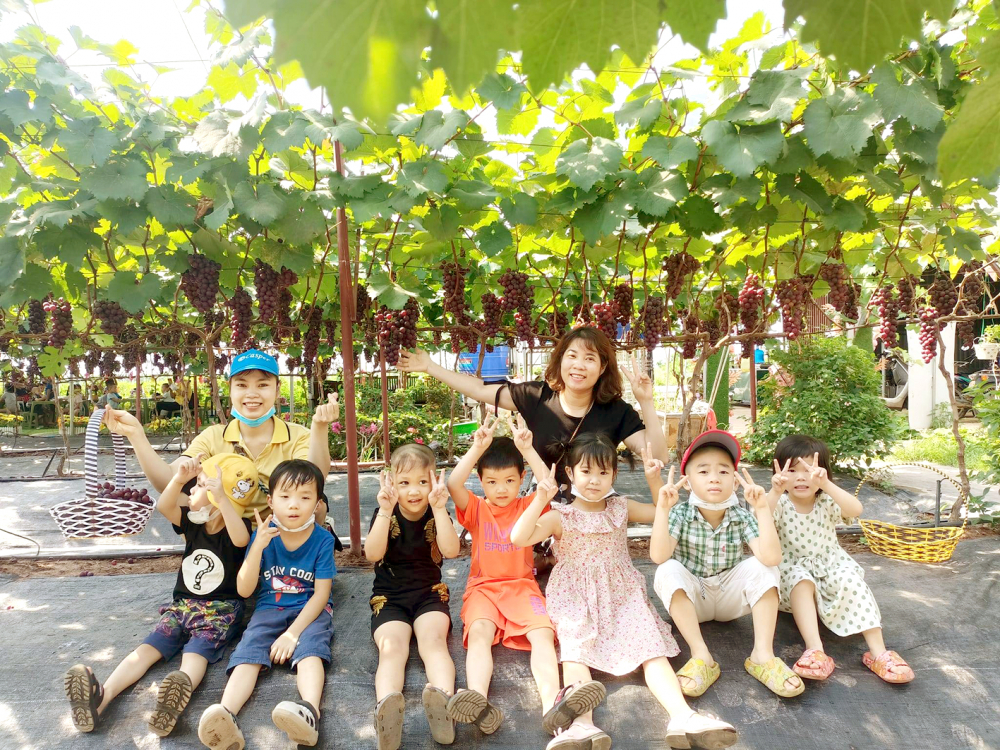 Vườn nho của &ocirc;ng Nguyễn Hữu Hợi cho doanh thu cao nhờ b&aacute;n tr&aacute;i v&agrave; phục vụ du kh&aacute;ch đến tham quan, chụp h&igrave;nh