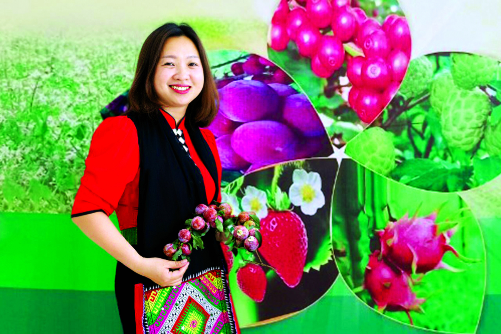 B&ugrave;i Phương Thanh tự h&agrave;o giới thiệu sản phẩm mận Ruby chất lượng do chị v&agrave; b&agrave; con địa phương quy hoạch trồng để tăng gi&aacute; trị cho đặc sản mận hậu Sơn La