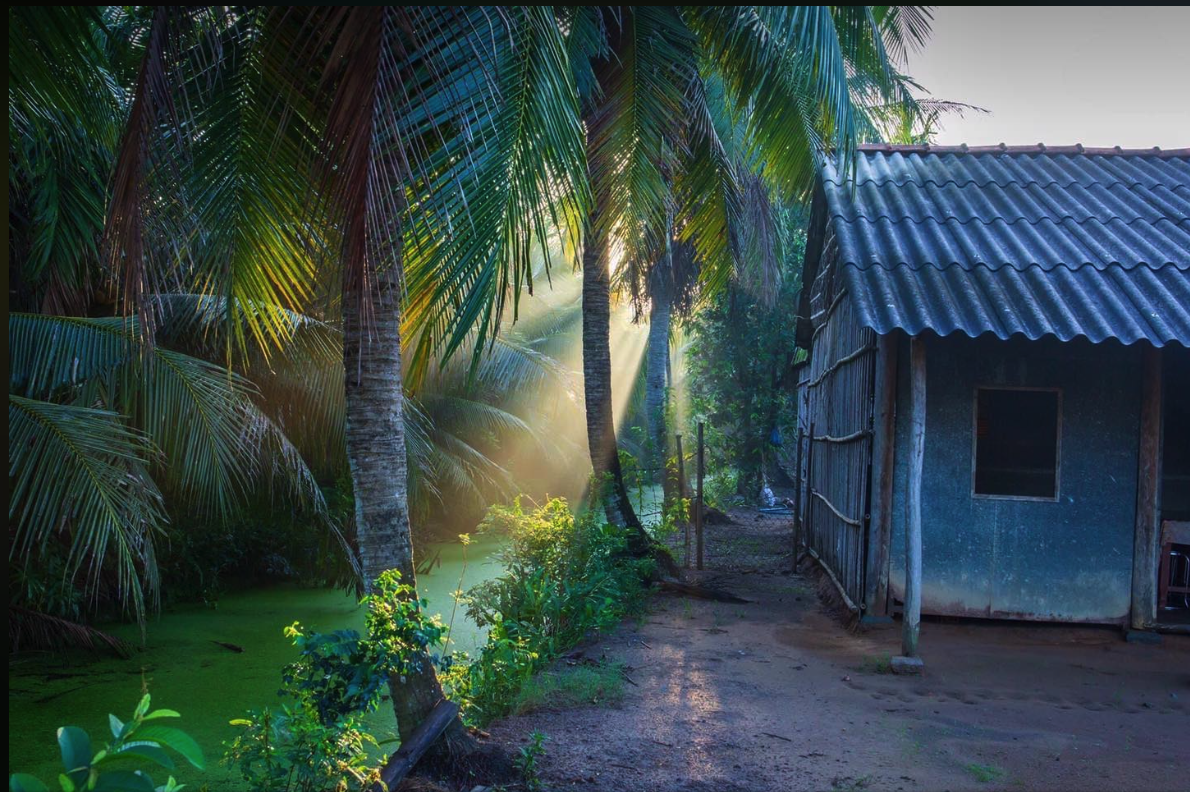 Anh em đ&atilde; c&ugrave;ng nhau lớn l&ecirc;n dưới m&aacute;i nh&agrave; của ba mẹ (Ảnh minh hoạ: FB Miền T&acirc;y ơi)