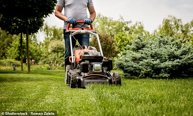 Đừng cắt cỏ v&agrave;o ng&agrave;y Chủ nhật ở Na Uy - Ảnh: Daily Mail 