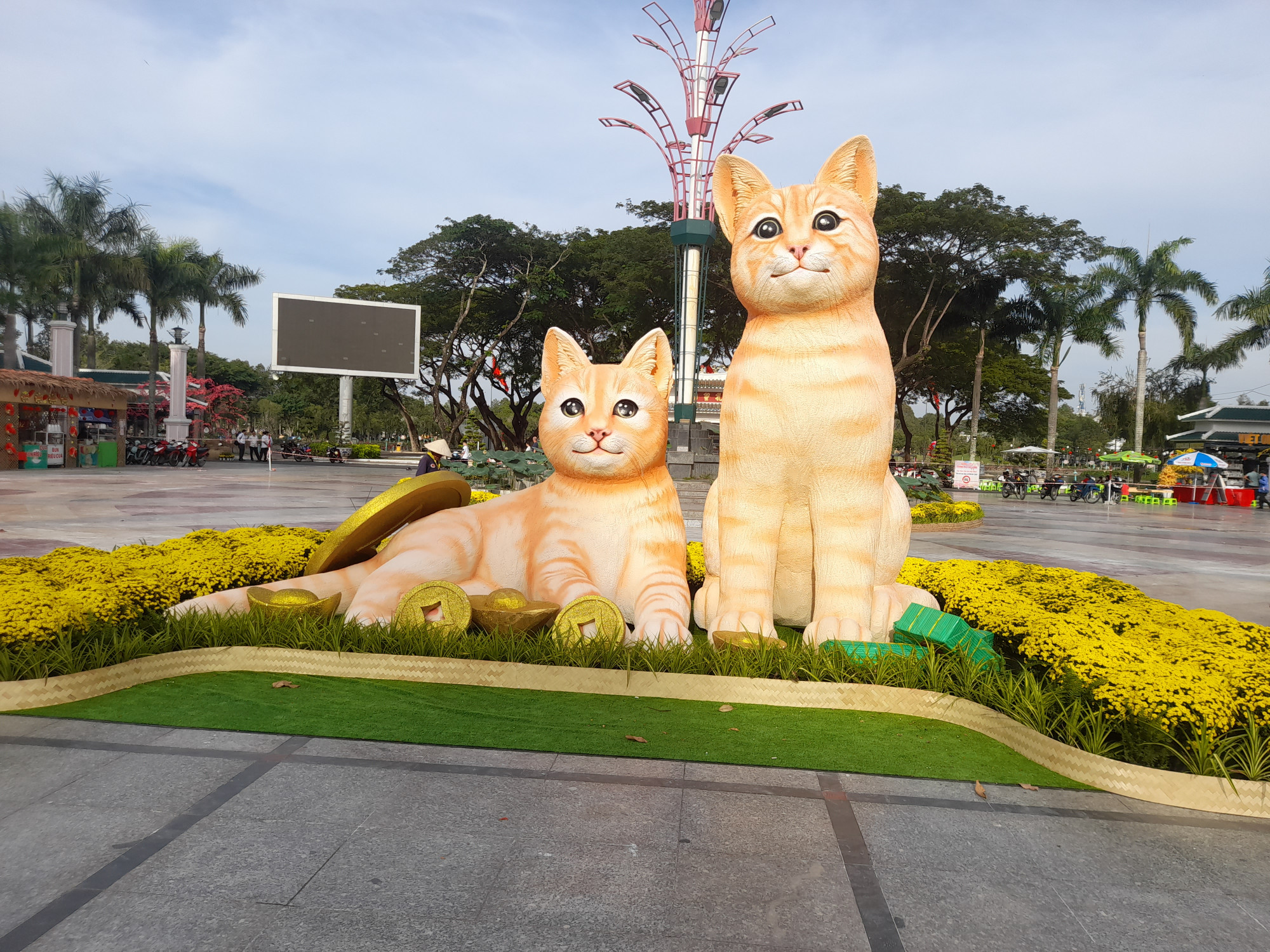 Những ch&uacute; m&egrave;o dễ thương của Dồng Th&aacute;p được d&acirc;n mạng bầu chọn l&agrave; hoa kh&ocirc;i, sau m&egrave;o ở Quảng Trị