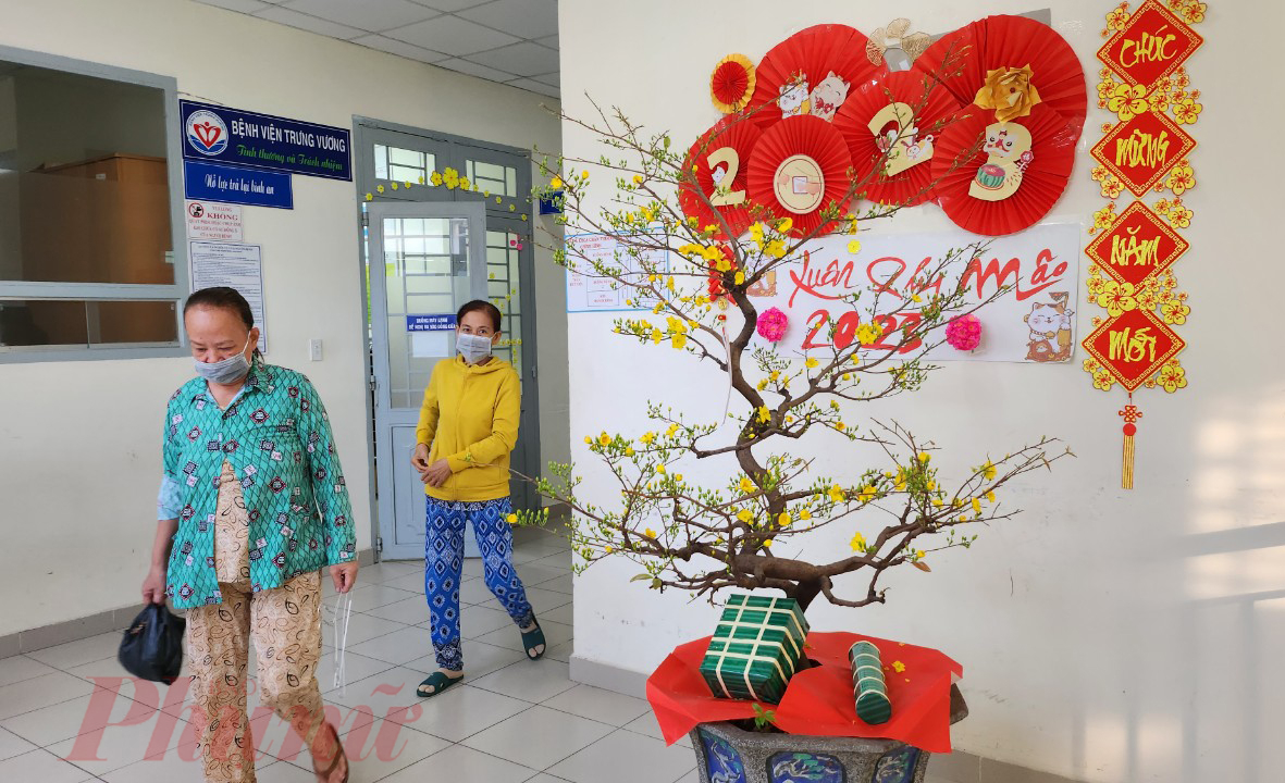 Chậu mai trước khoa Chấn thương chỉnh h&igrave;nh, Bệnh viện Trưng Vương nở v&agrave;ng rực l&agrave;m cho người bệnh vừa th&iacute;ch th&uacute; vừa n&ocirc;n nao đợi kh&aacute;m lần cuối rồi xuất viện về nh&agrave; đ&oacute;n Tết