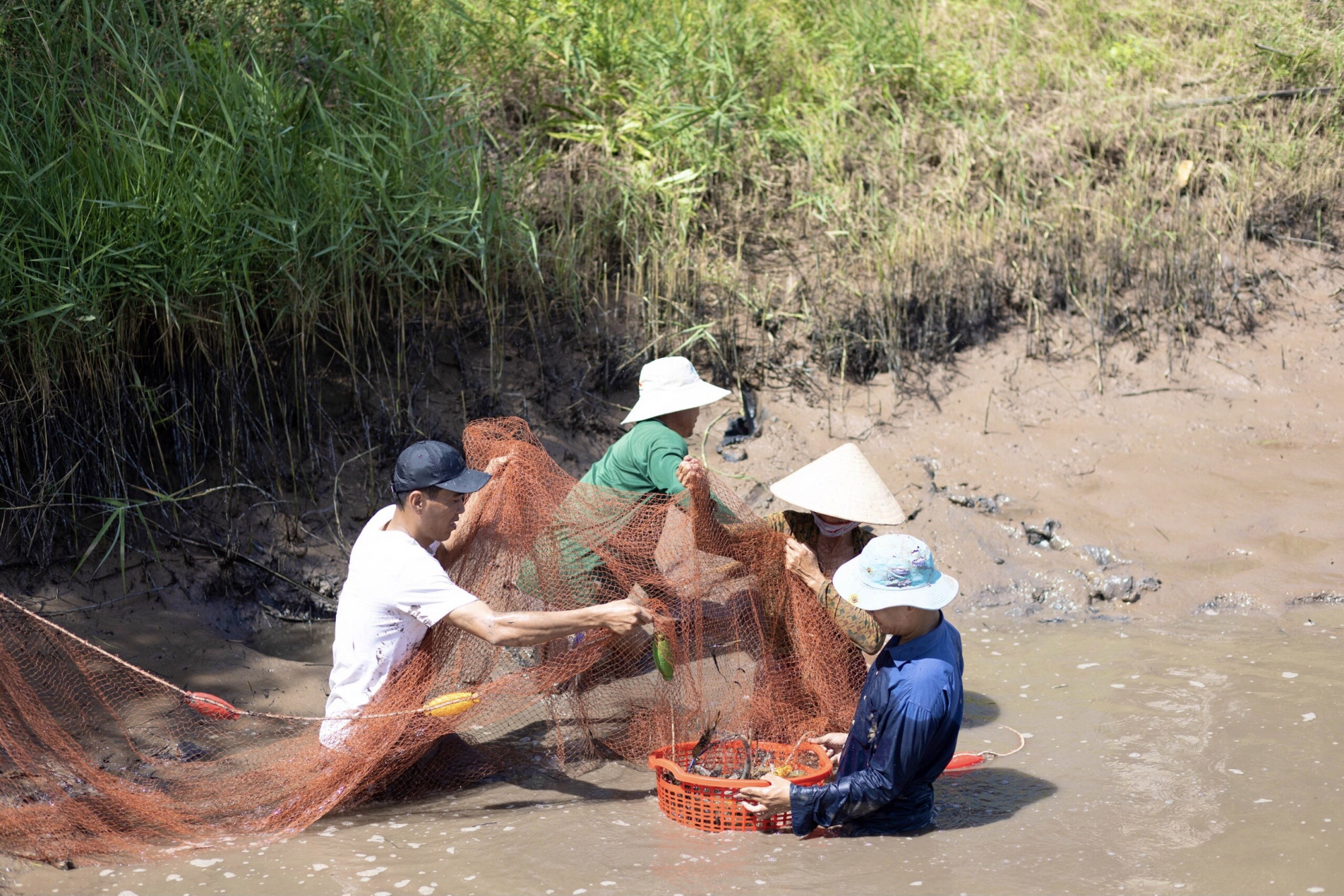 'Đến giữa trưa, ai cũng thấm mệt, nhưng d&igrave; dượng rất vui v&igrave; năm nay được m&ugrave;a. Tiểu thương cũng chờ sẵn để c&acirc;n mang ra chợ b&aacute;n'.