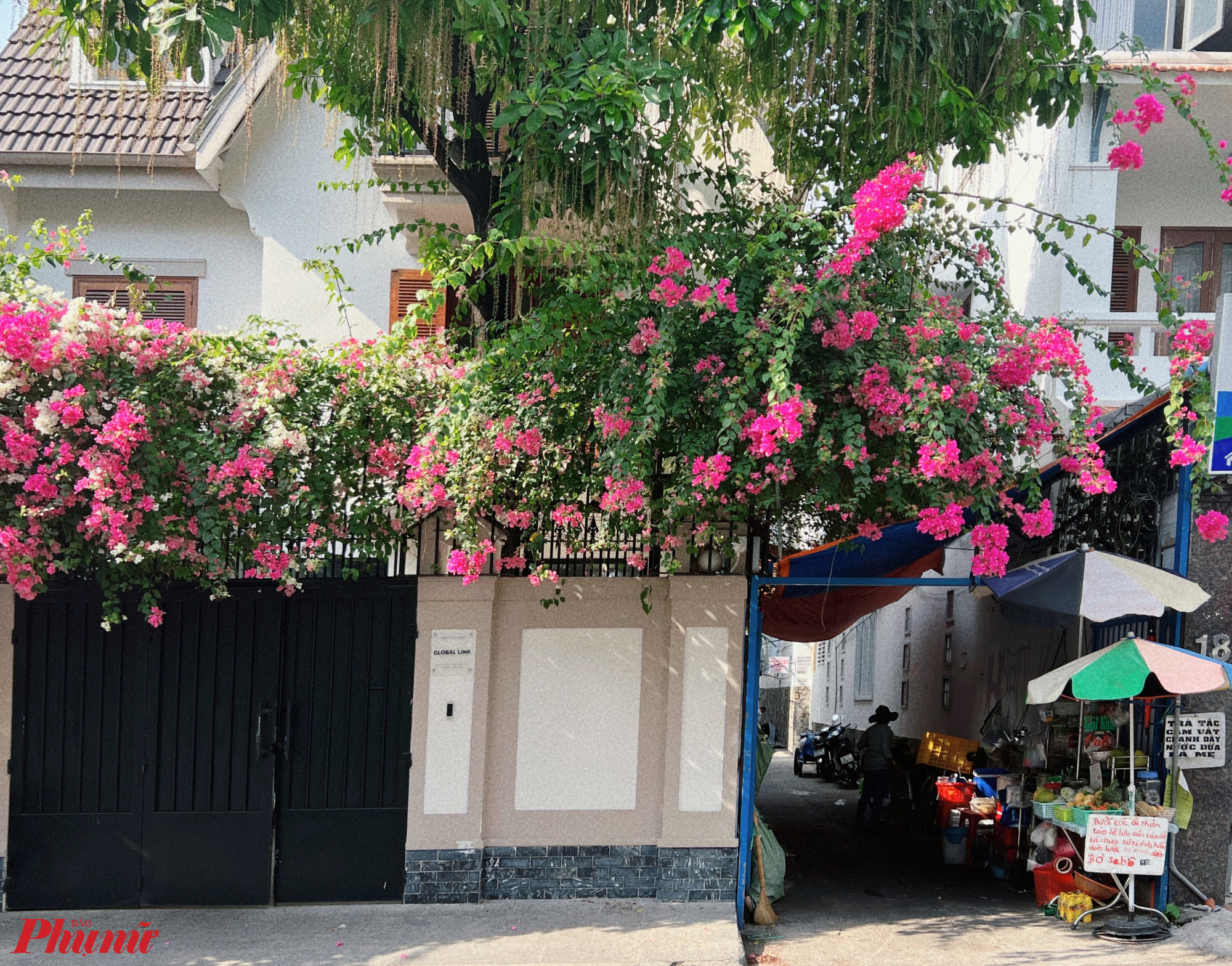 Một qu&aacute;n c&oacute;c b&ecirc;n đường cũng đẹp hơn nhờ hoa giấy