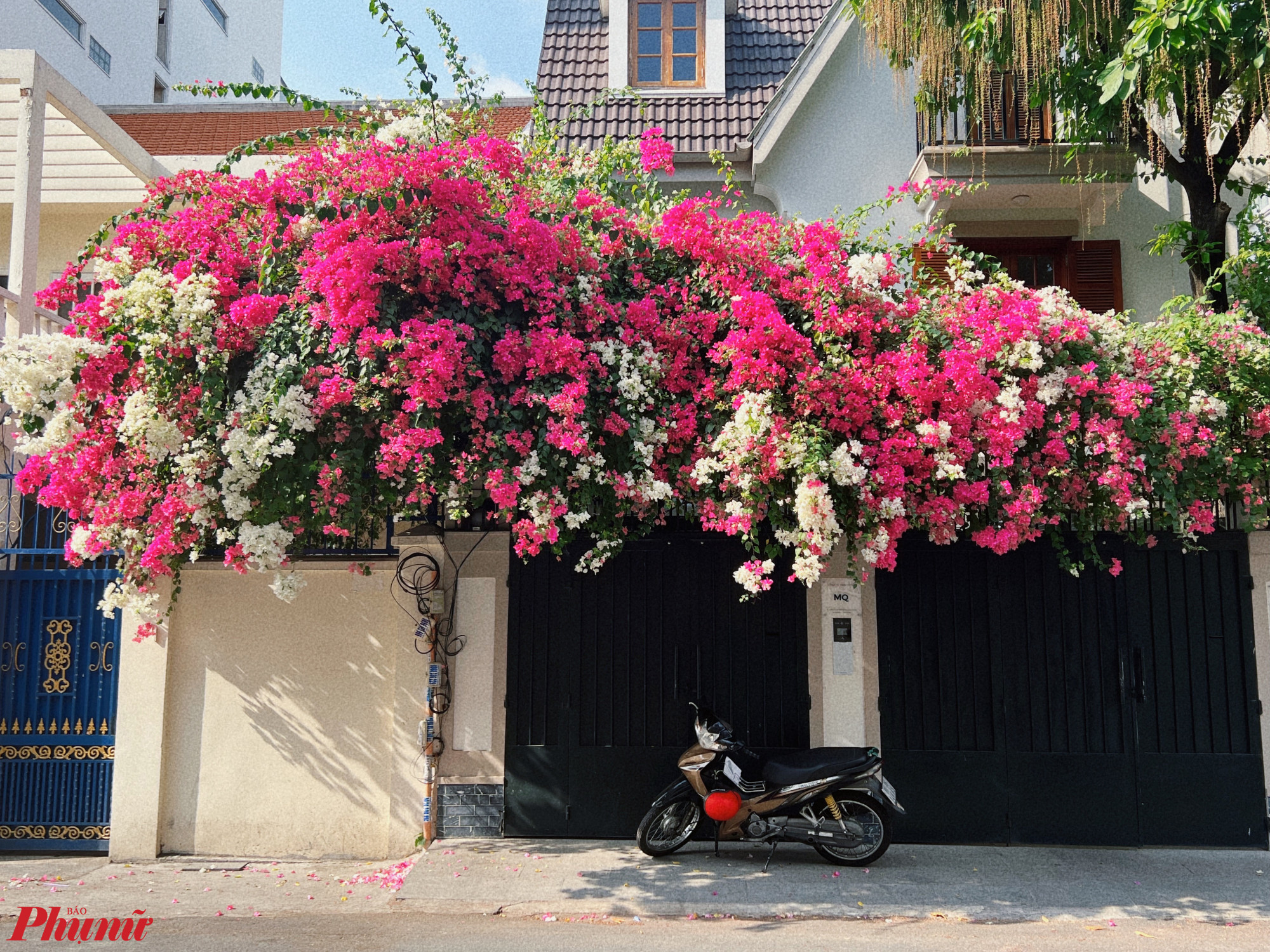 Trước 