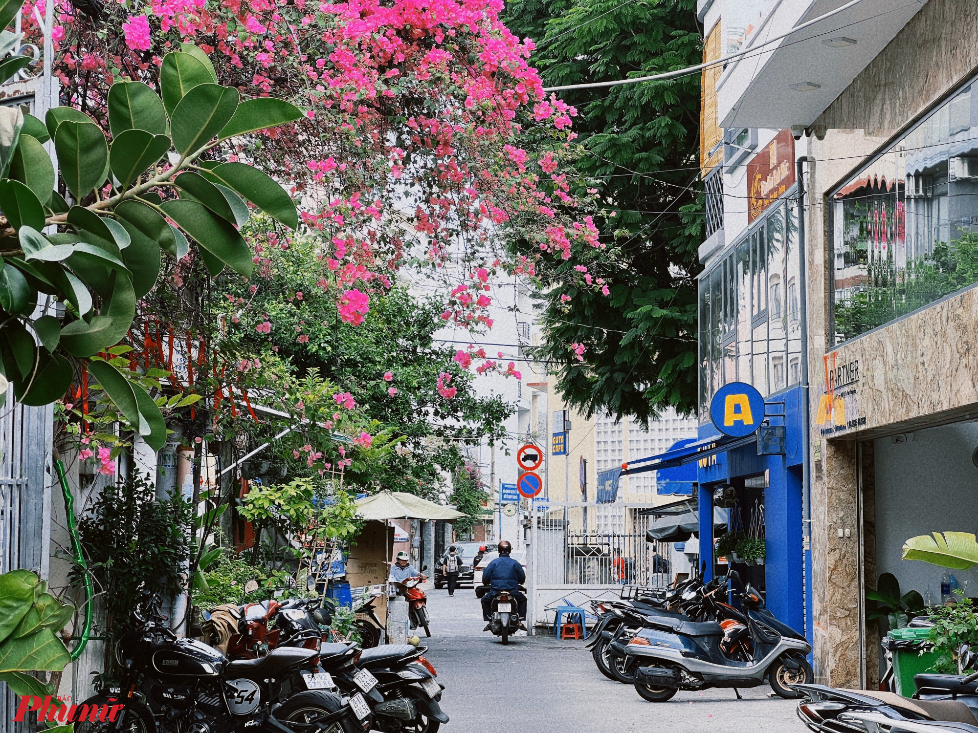 Mỗi gi&agrave;n 