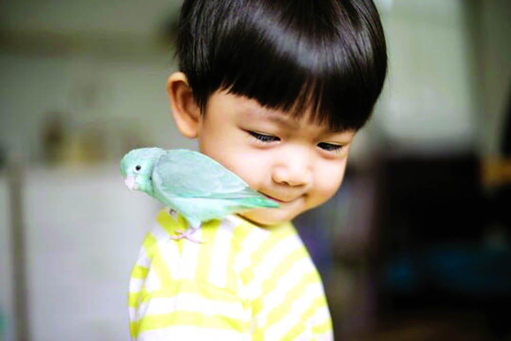Tai nạn g&acirc;y tổn thương mắt ở trẻ nhỏ c&ograve;n c&oacute; thể xảy ra khi phụ huynh để con đưa mặt gần c&aacute;c lo&agrave;i chim nu&ocirc;i l&agrave;m cảnh như vẹt, s&aacute;o&hellip; - ẢNH: INTERNET