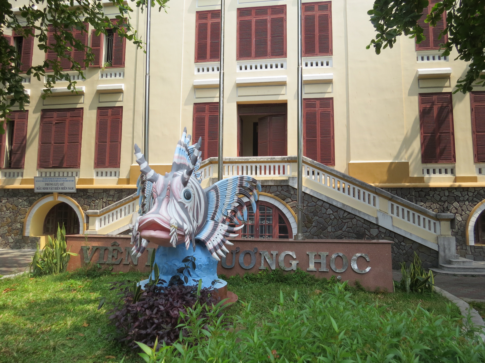 Viện Hải dương họcở số 1 Cầu Đ&aacute;, TP Nha Trang, tỉnh Kh&aacute;nh H&ograve;a được xem l&agrave; cơ sở nghi&ecirc;n cứu biển h&agrave;ng đầu của Việt Nam v&agrave; Đ&ocirc;ng Nam &Aacute;; được th&agrave;nh lập c&aacute;ch đ&acirc;y hơn 100 năm. Viện Hải dương học . Tại đ&acirc;y, Bảo t&agrave;ng Hải dương học (trực thuộc Viện) mở cửa phục vụ du kh&aacute;ch từ 6g-18g tất cả c&aacute;c ng&agrave;y trong tuần, kể cả ng&agrave;y lễ.
