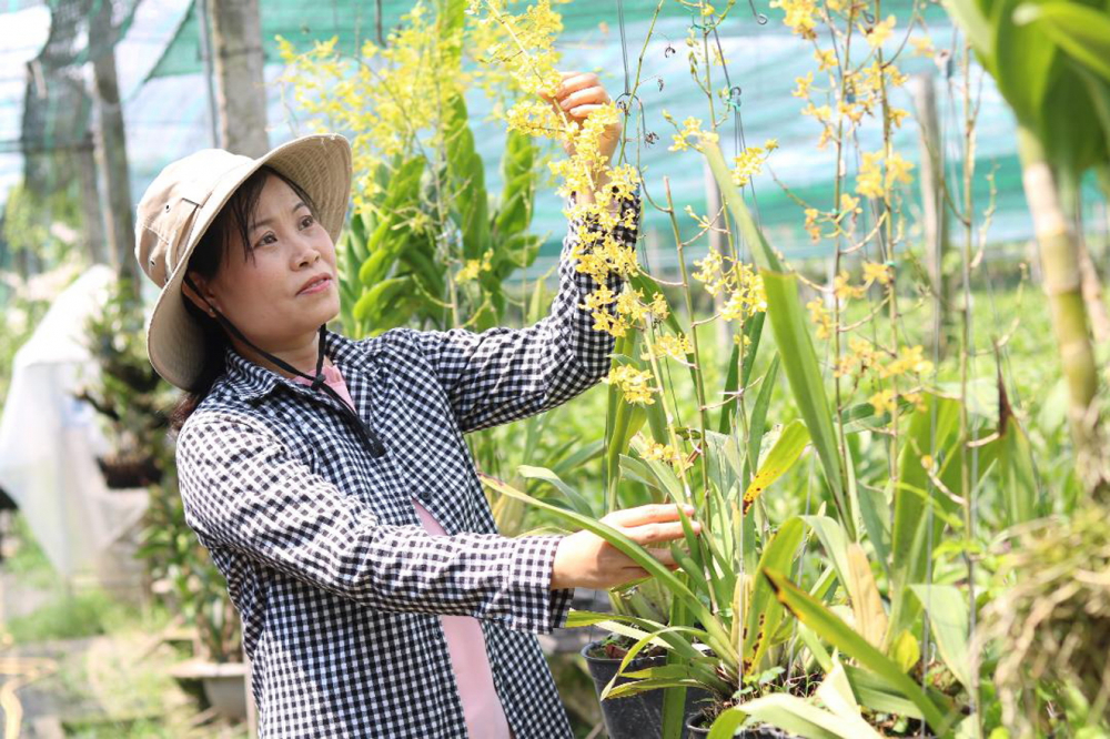 H&igrave;nh ảnh nữ n&ocirc;ng d&acirc;n thời c&ocirc;ng nghệ cao. Ảnh: phunuonline