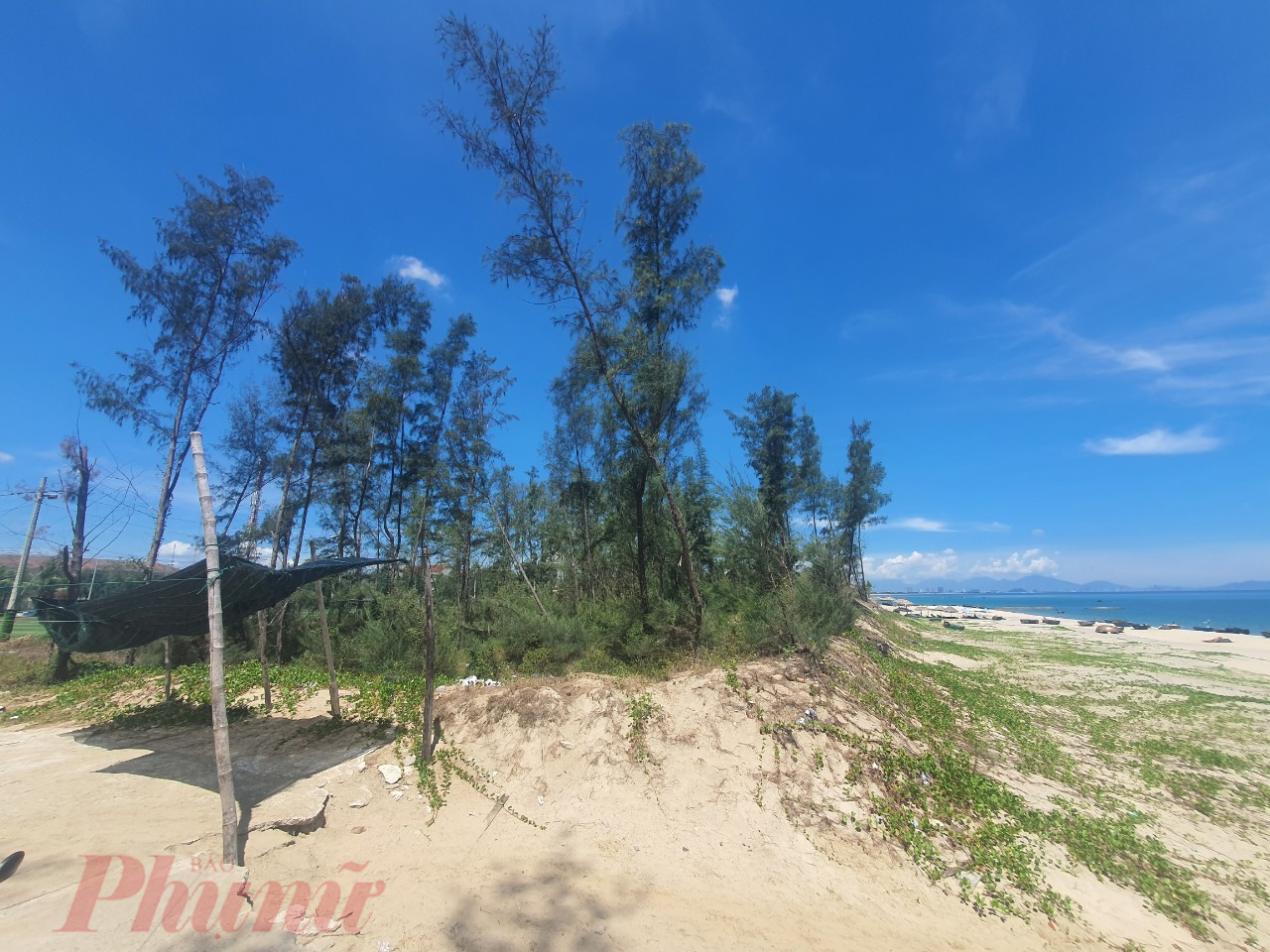 Chủ tịch UBND TP.Hội An Nguyễn Văn Sơn cho rằng, cần sớm phục hồi lại khu rừng ph&ograve;ng hộ ven biển. Đến thời điểm n&agrave;y Hội An kh&ocirc;ng cấp mới dự &aacute;n nghỉ dưỡng ven biển. Tất cả quỹ đất c&ograve;n lại dọc ven biển đ&atilde; v&agrave; đang tập trung đầu tư trồng rừng ph&ograve;ng hộ để chắn s&oacute;ng bảo vệ bờ biển.