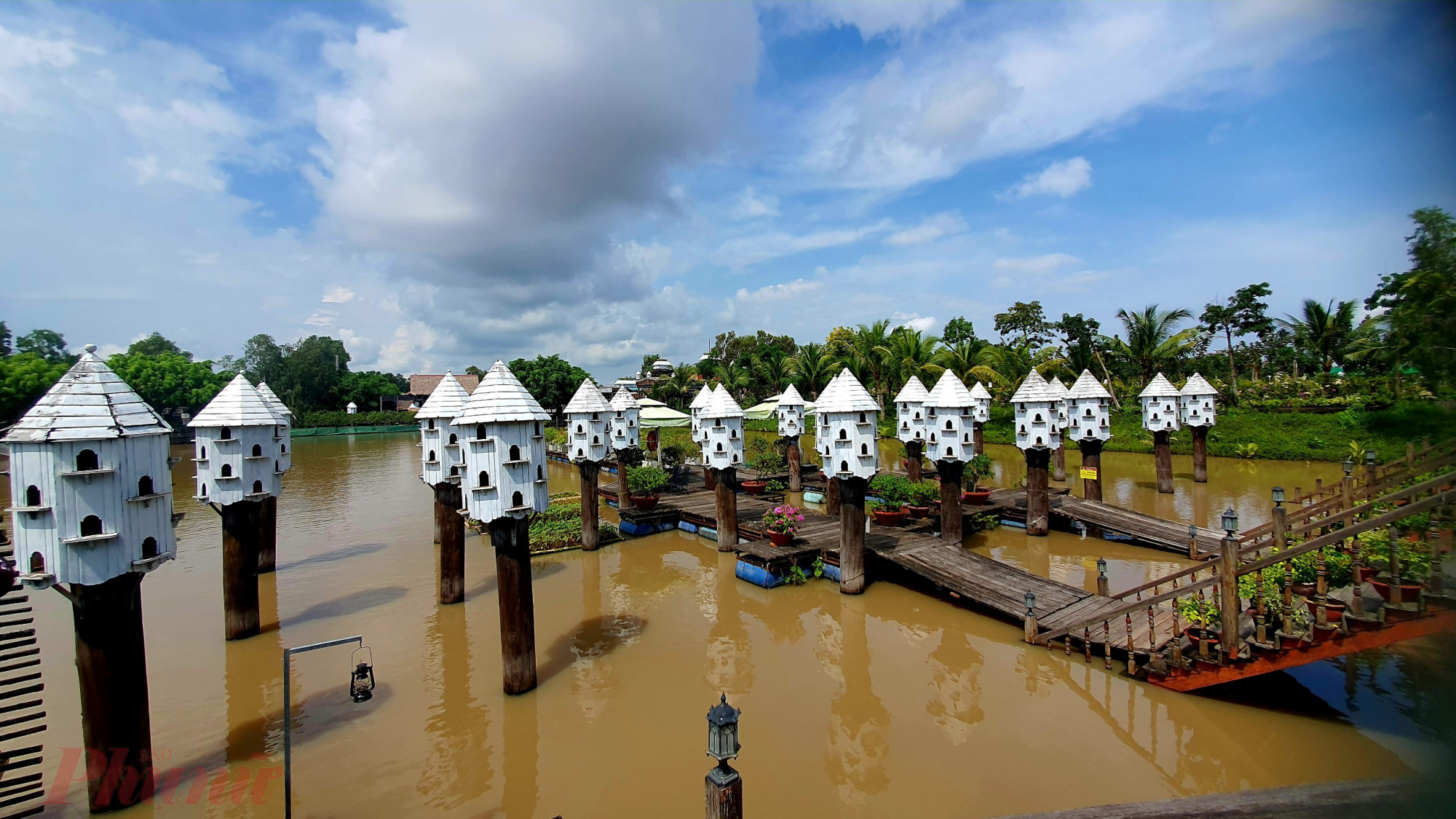 C&aacute;c &ldquo;biệt thự&rdquo; bồ c&acirc;u nằm rải r&aacute;c khắp nơi ở rừng tr&agrave;m