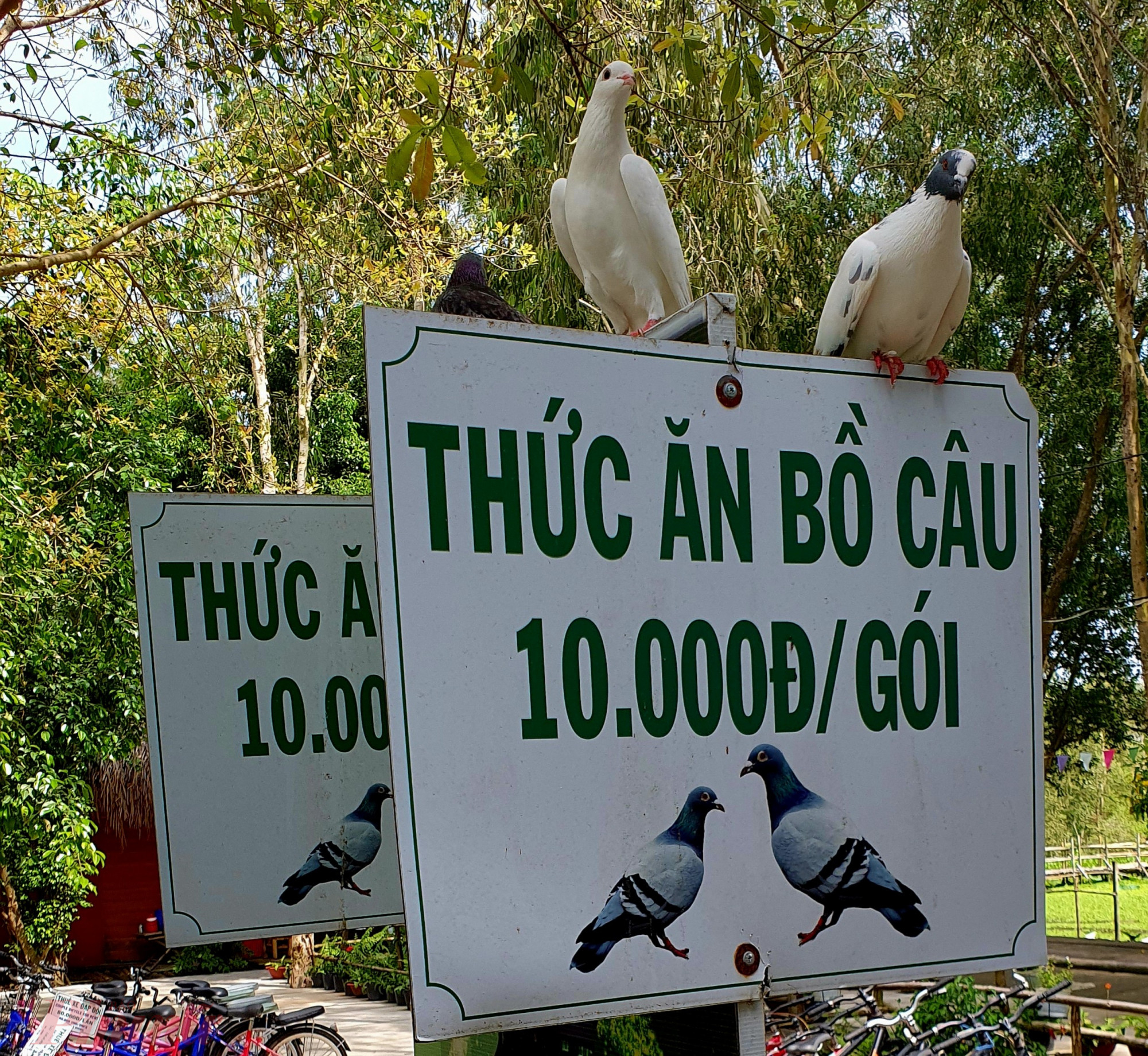 Kh&ocirc;ng kh&oacute; để bạn t&igrave;m được nơi b&aacute;n thức ăn cho bồ c&acirc;u trong th&agrave;nh phố