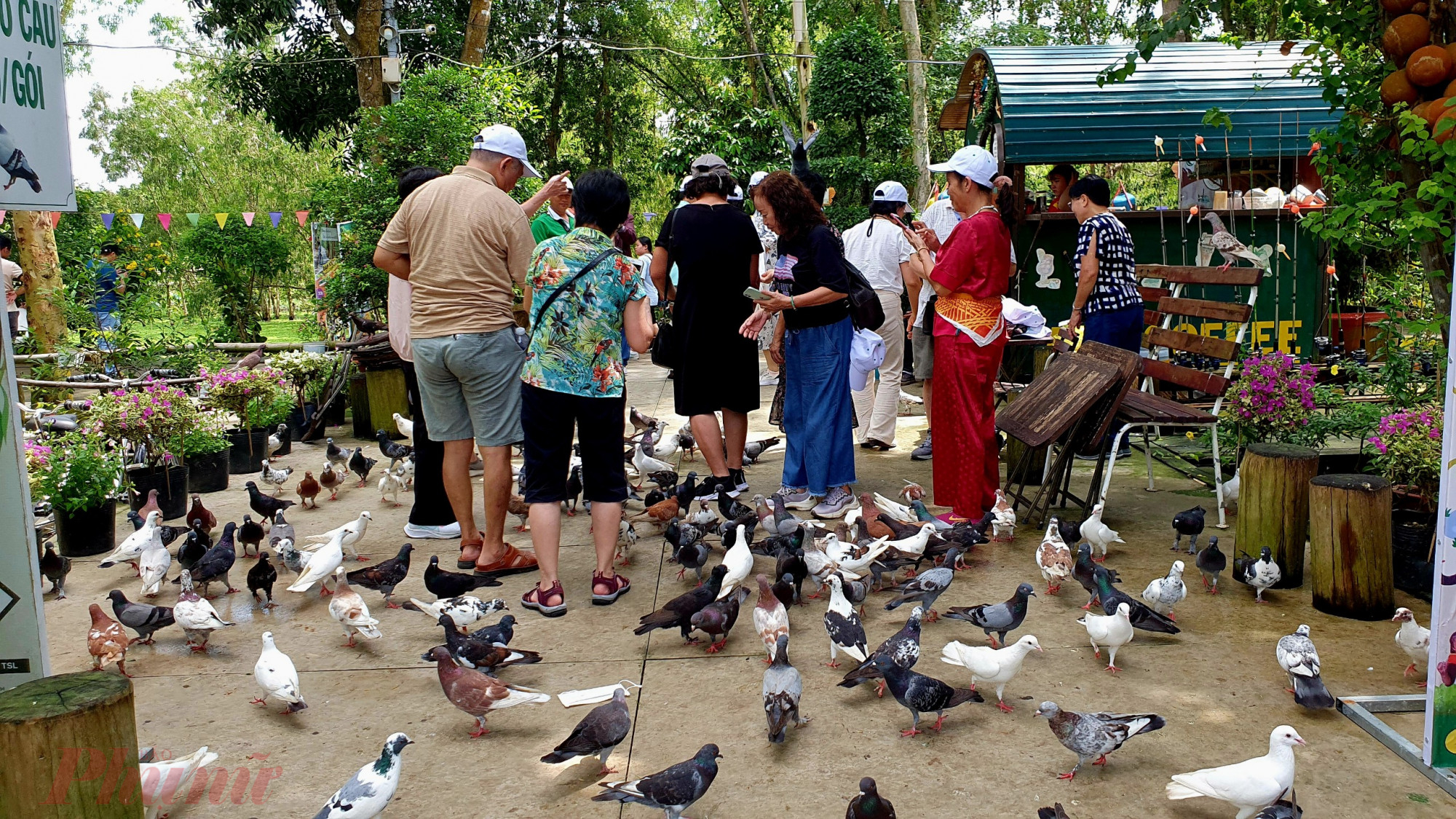 Một phần &ldquo;cư d&acirc;n&rdquo; trong th&agrave;nh phố ch&agrave;o đ&oacute;n kh&aacute;ch tham quan