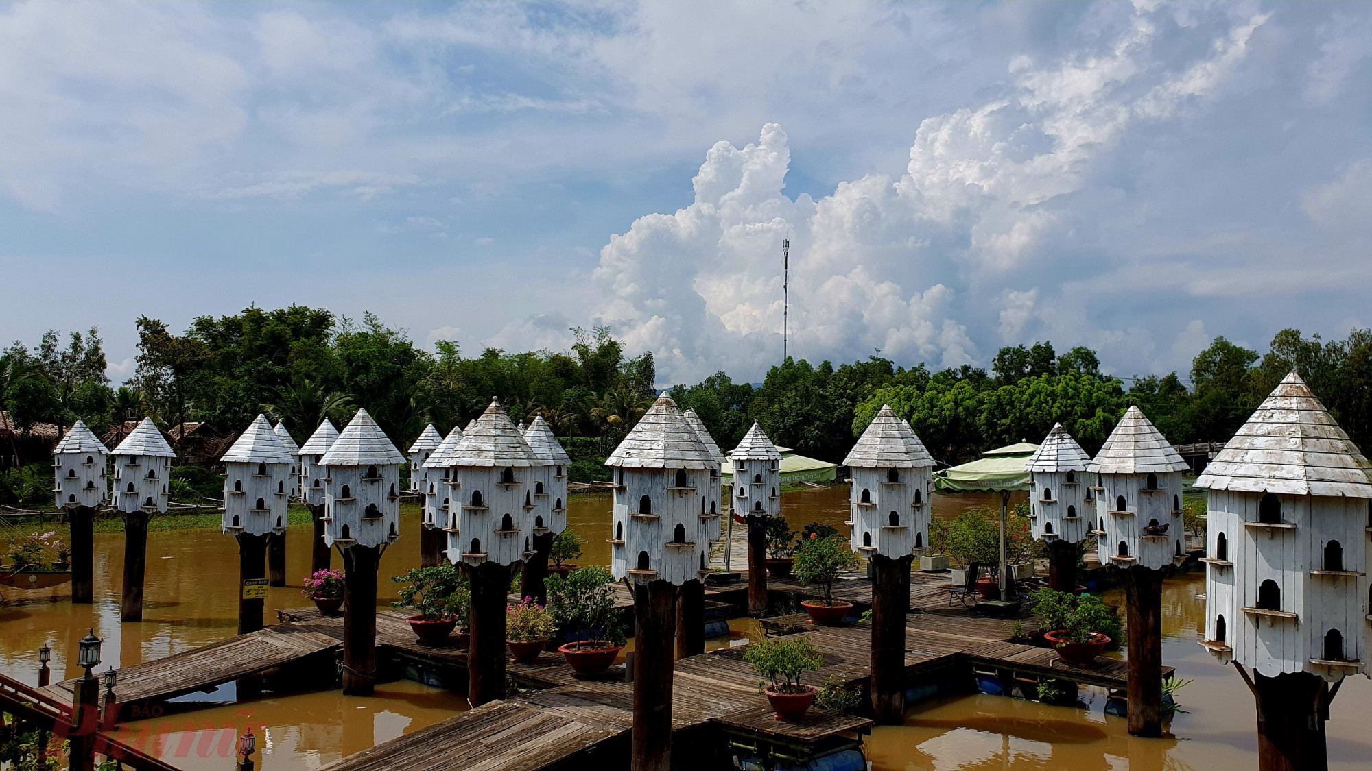 C&aacute;c &ldquo;biệt thự&rdquo; bồ c&acirc;u m&agrave;u trắng được thiết kế theo phong c&aacute;ch T&acirc;y &Acirc;u đơn giản m&agrave; sang trọng