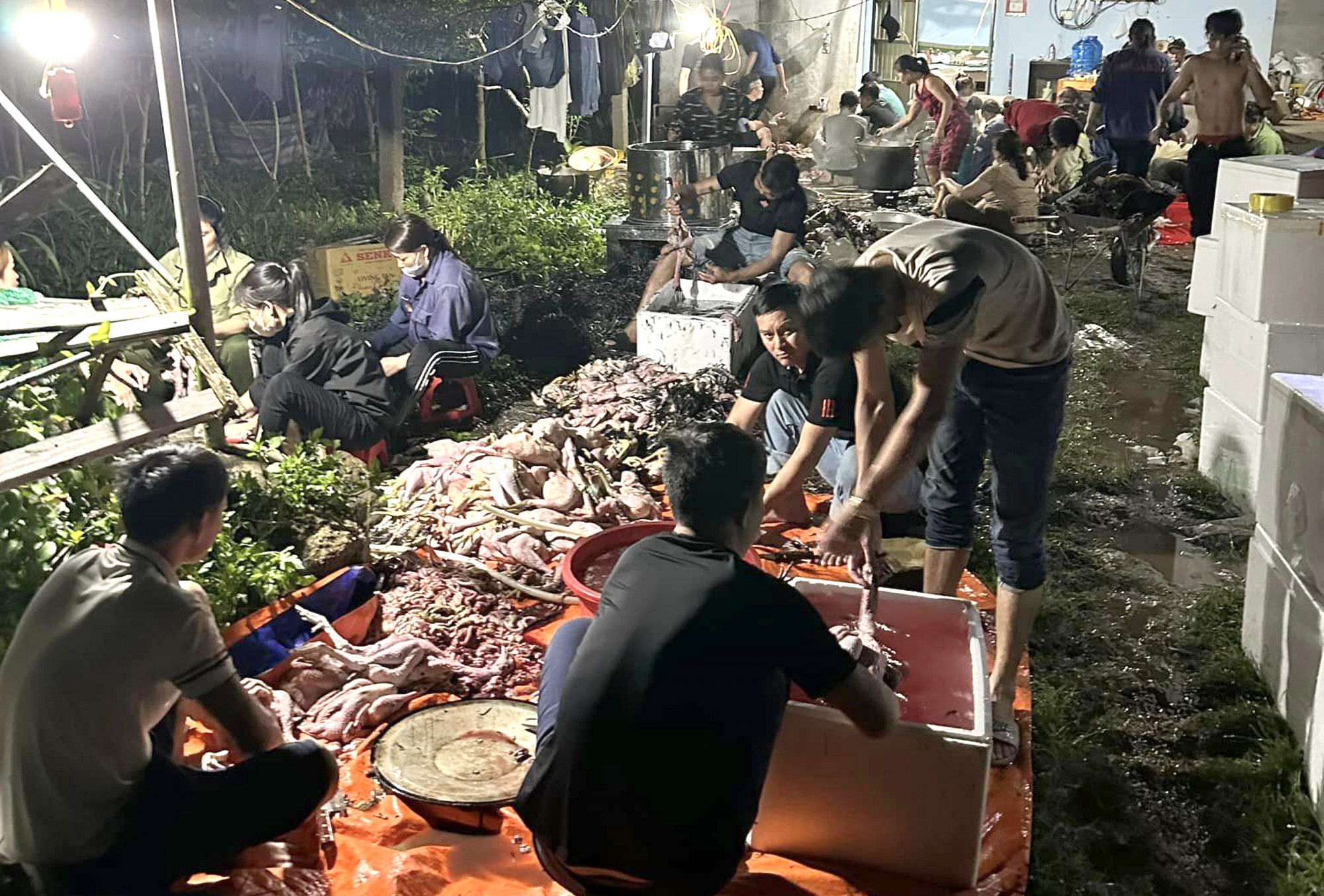 Người d&acirc;n x&atilde; Kh&aacute;nh Sơn hỗ trợ chủ trang trại l&agrave;m thịt g&agrave; cả đ&ecirc;m để b&aacute;n th&aacute;o - Ảnh: Kh&aacute;nh Trung