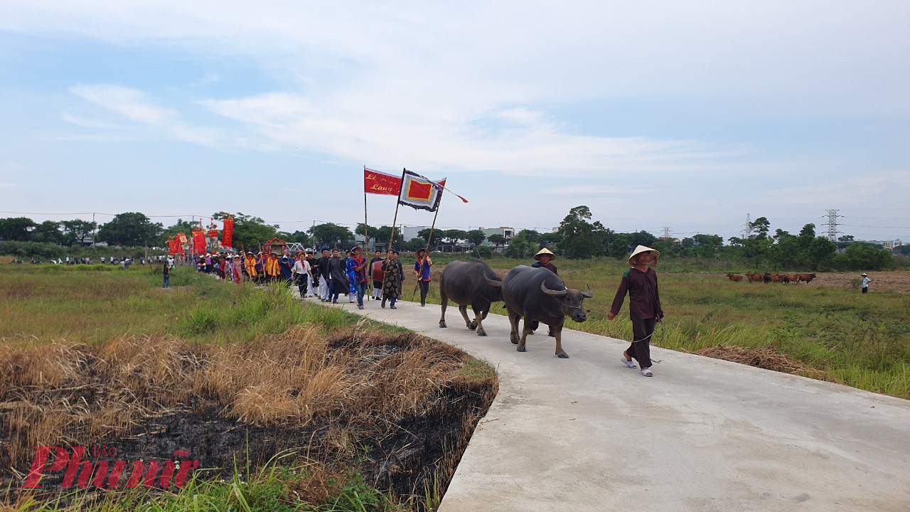 Một h&ocirc;m c&oacute; đ&agrave;n tr&acirc;u chạy lạc l&ecirc;n cồn, đ&aacute;m trẻ chăn tr&acirc;u đến t&igrave;m, nhưng kh&ocirc;ng trẻ n&agrave;o hề hấn g&igrave;. Từ đ&oacute; tiếng đồn gần xa l&agrave; Cồn Thần chỉ cho c&aacute;c trẻ chăn tr&acirc;u đến gần m&agrave; th&ocirc;i. X&oacute;m Cồn về sau được gọi l&agrave; x&oacute;m Đồng, l&agrave; nơi tụ tập của c&aacute;c mục đồng trong l&agrave;ng. Xuất ph&aacute;t từ c&acirc;u chuyện lạ l&ugrave;ng ấy, sau nhiều thế hệ dần h&igrave;nh th&agrave;nh một lễ hội d&agrave;nh ri&ecirc;ng cho trẻ chăn tr&acirc;u, gọi l&agrave; lễ hội Mục đồng l&agrave;ng Phong Lệ, diễn ra v&agrave;o ng&agrave;y m&ugrave;ng một th&aacute;ng Tư &acirc;m lịch h&agrave;ng năm.