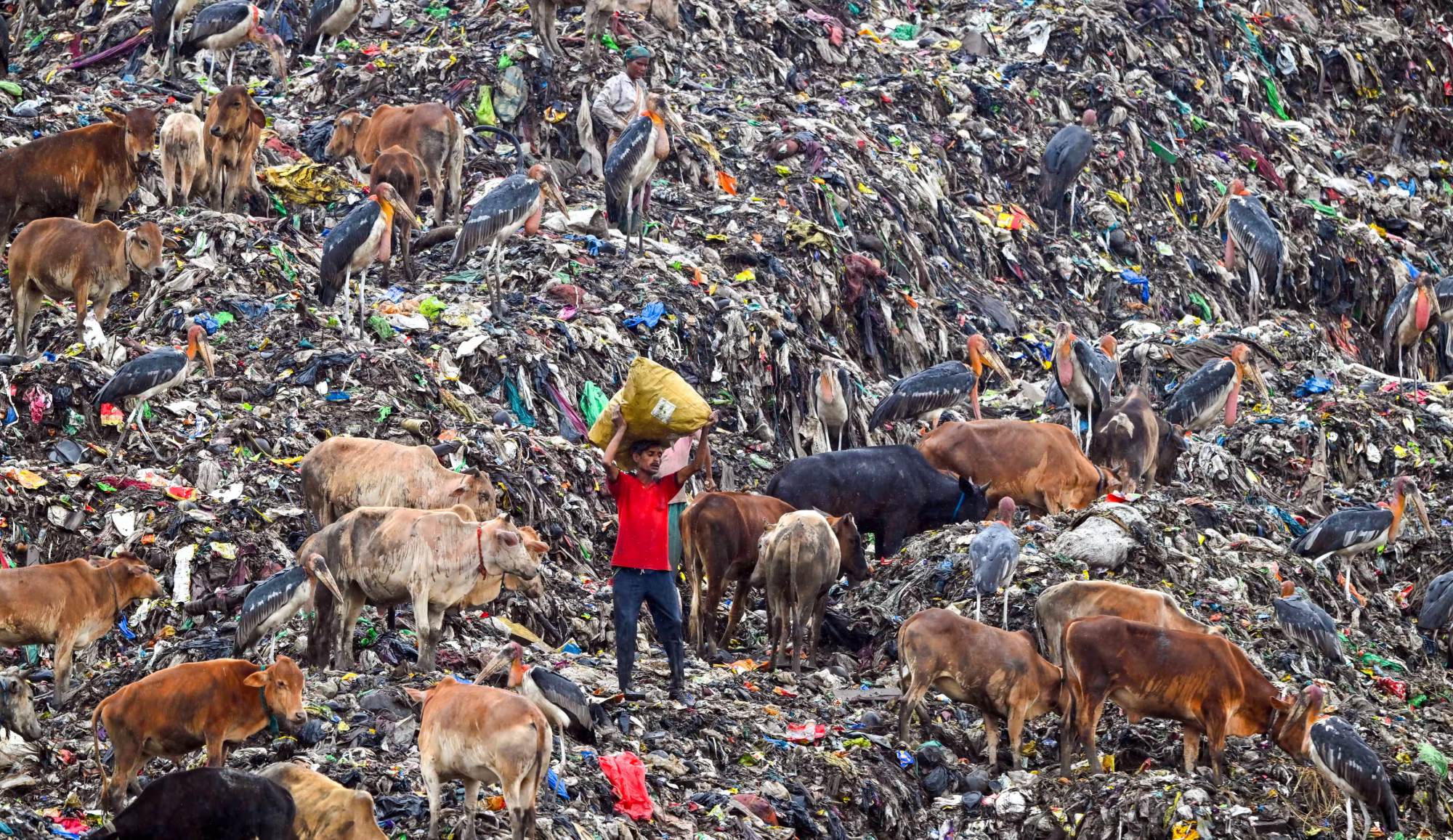 Người d&acirc;n thu gom vật liệu t&aacute;i chế được tại một b&atilde;i r&aacute;c ở Guwahati, Ấn Độ &mdash; Ảnh: Getty Images