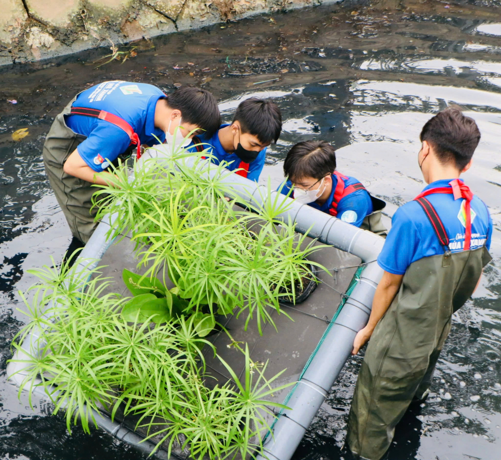M&ocirc; h&igrave;nh b&egrave; thủy sinh của Đo&agrave;n Thanh ni&ecirc;n phường Thạnh Lộc gi&uacute;p cải thiện m&ocirc;i trường nước, g&oacute;p phần tạo mỹ quan đ&ocirc; thị