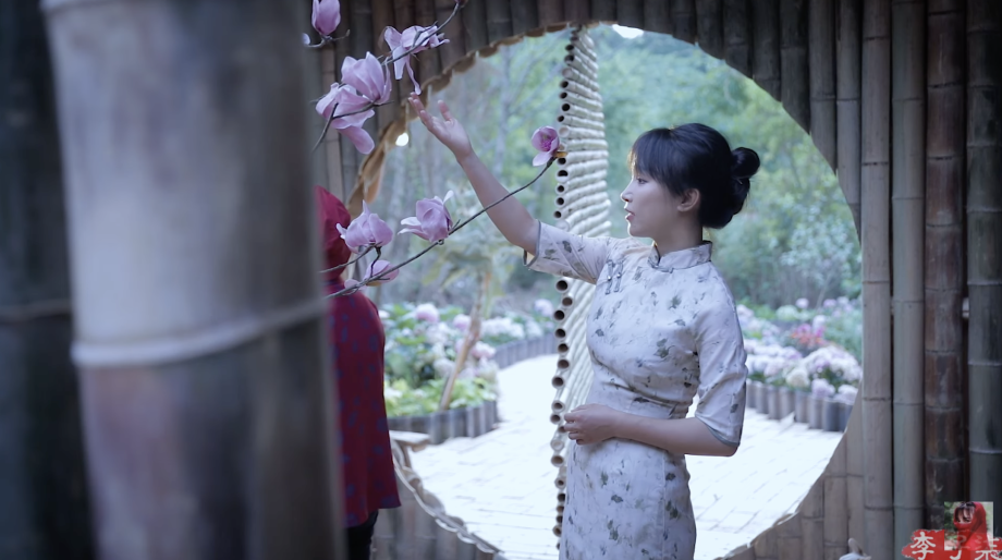 Khung h&igrave;nh đầy t&iacute;nh thẩm mỹ trong video của L&yacute; Tử Thất