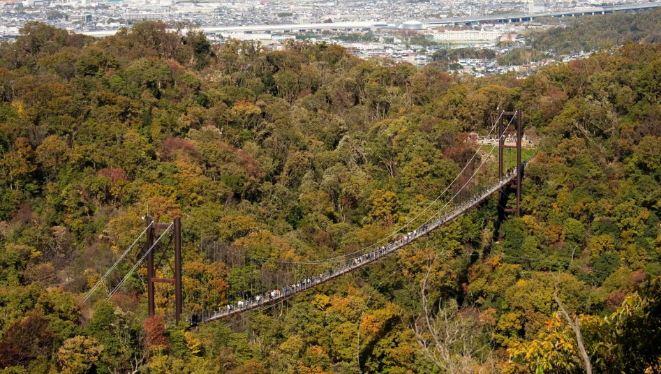 C&ocirc;ng vi&ecirc;n Hoshida, Osaka. Hoshida nổi tiếng với những đường m&ograve;n tuyệt đẹp, c&acirc;y cầu treo nh&igrave;n ra khung cảnh l&atilde;ng mạn. C&oacute; rất nhiều nh&agrave; vệ sinh v&agrave; m&aacute;y b&aacute;n h&agrave;ng tự động dọc theo c&aacute;c con đường n&ecirc;n đ&acirc;y l&agrave; nơi thuận tiện để c&oacute; một buổi d&atilde; ngoại nhỏ - Ảnh:Daniel Ramirez/Flickr