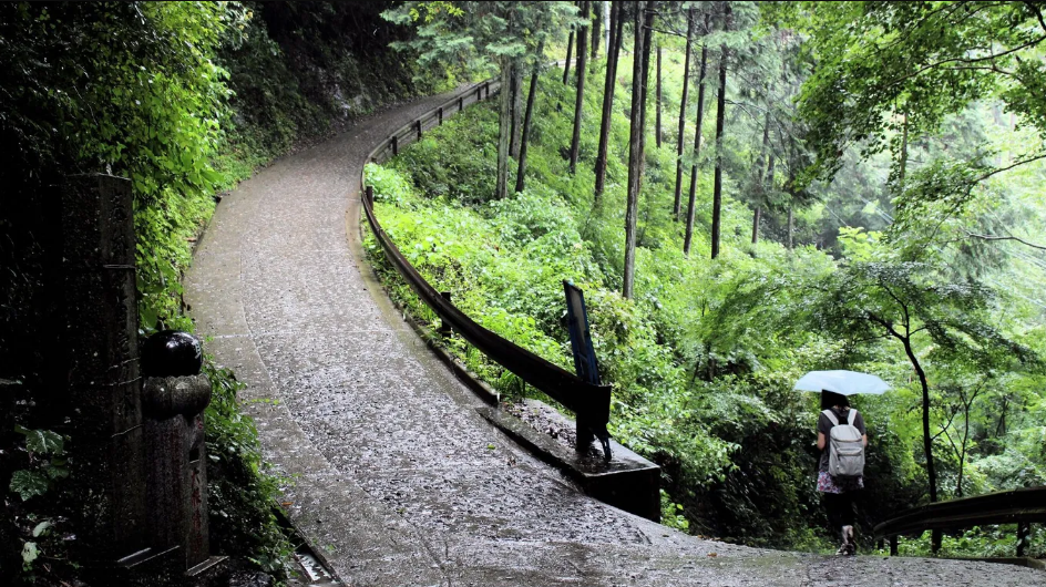 Rừng tr&ecirc;n n&uacute;i Takao,Tokyo. Nằm c&aacute;ch trung t&acirc;m Tokyo khoảng một giờ về ph&iacute;a t&acirc;y, Takao l&agrave; thi&ecirc;n đường cho những người y&ecirc;u thi&ecirc;n nhi&ecirc;n th&iacute;ch đi bộ đường d&agrave;i, ngắm chim v&agrave; chụp ảnh. Tr&ecirc;n đường đi, bạn sẽ đi qua một c&ocirc;ng vi&ecirc;n khỉ v&agrave; đền Yakuoin. M&ugrave;a xu&acirc;n l&agrave; thời điểm tuyệt vời để đ&acirc;y - Ảnh: DocChewbacca/Flickr