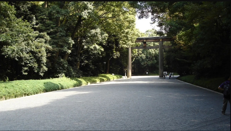 Rừng Meiji Jingu, Tokyo. Khu rừng rộng 68 ha, gần Harajuku v&agrave; Shibuya. Đ&acirc;y l&agrave; nơi sinh sống của 100.000 c&acirc;y xanh v&agrave; c&oacute; đền thờ Meiji. Thời điểm tốt nhất để gh&eacute; thăm l&agrave; s&aacute;ng sớm hoặc chiều muộn v&agrave;o m&ugrave;a xu&acirc;n. Meiji Jingu l&agrave; nơi ho&agrave;n hảo để tạm rời xa cuộc sống th&agrave;nh thị ở Tokyo - Ảnh: David McKelvey/Flickr