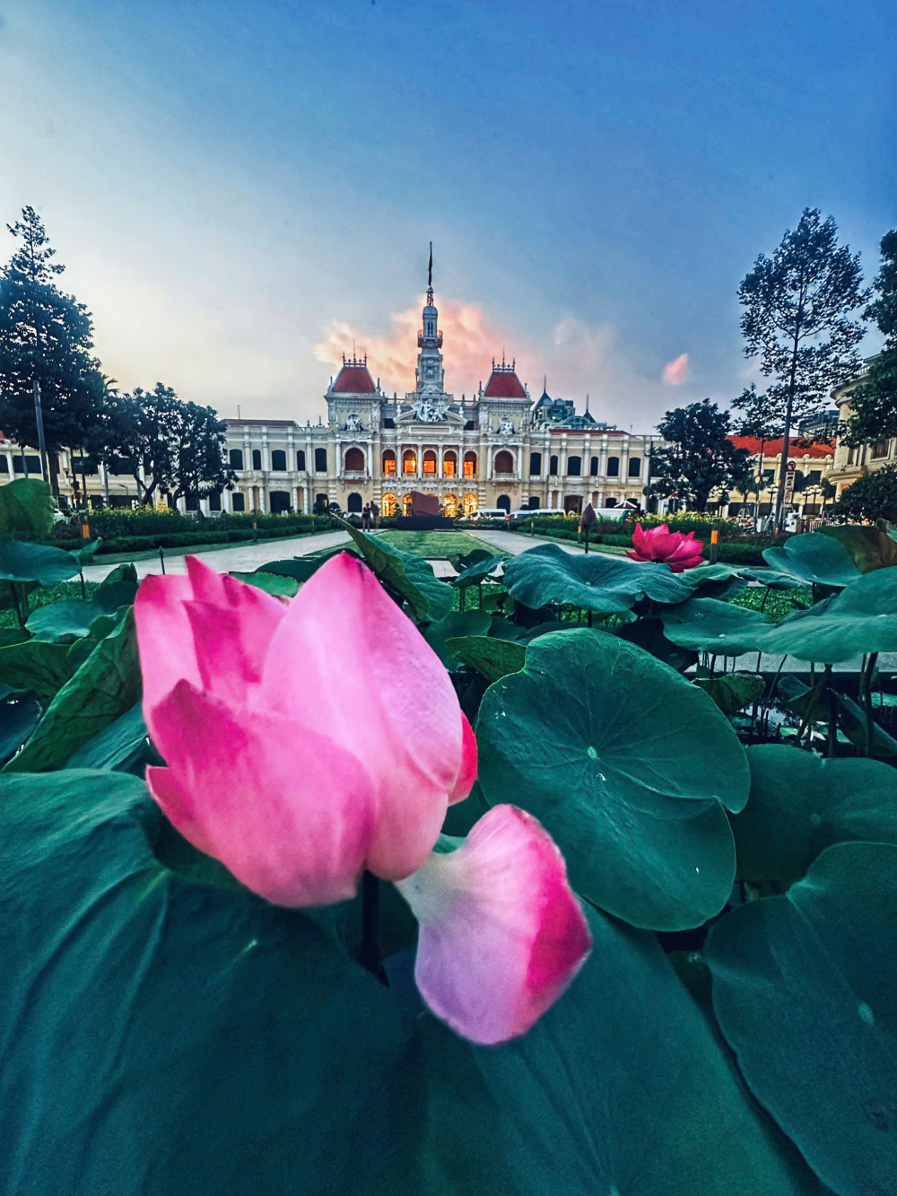 Sen hồng tỏa sắc - Vũ Ngọc Mai Hạnh.