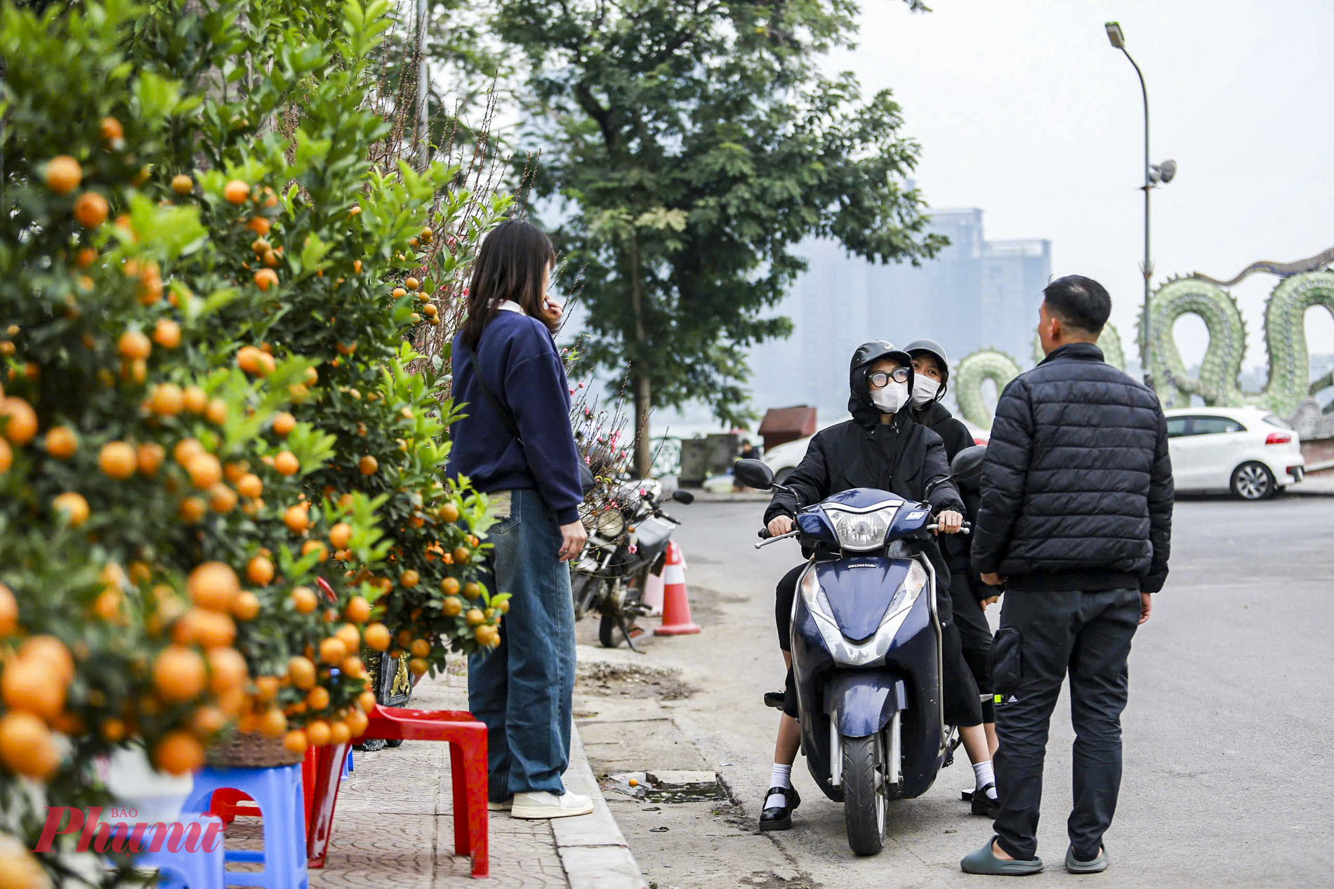 Số lượng lớn quất đ&atilde; được c&aacute;c tiểu thương b&agrave;y b&aacute;n tại khu vực quận T&acirc;y Hồ.