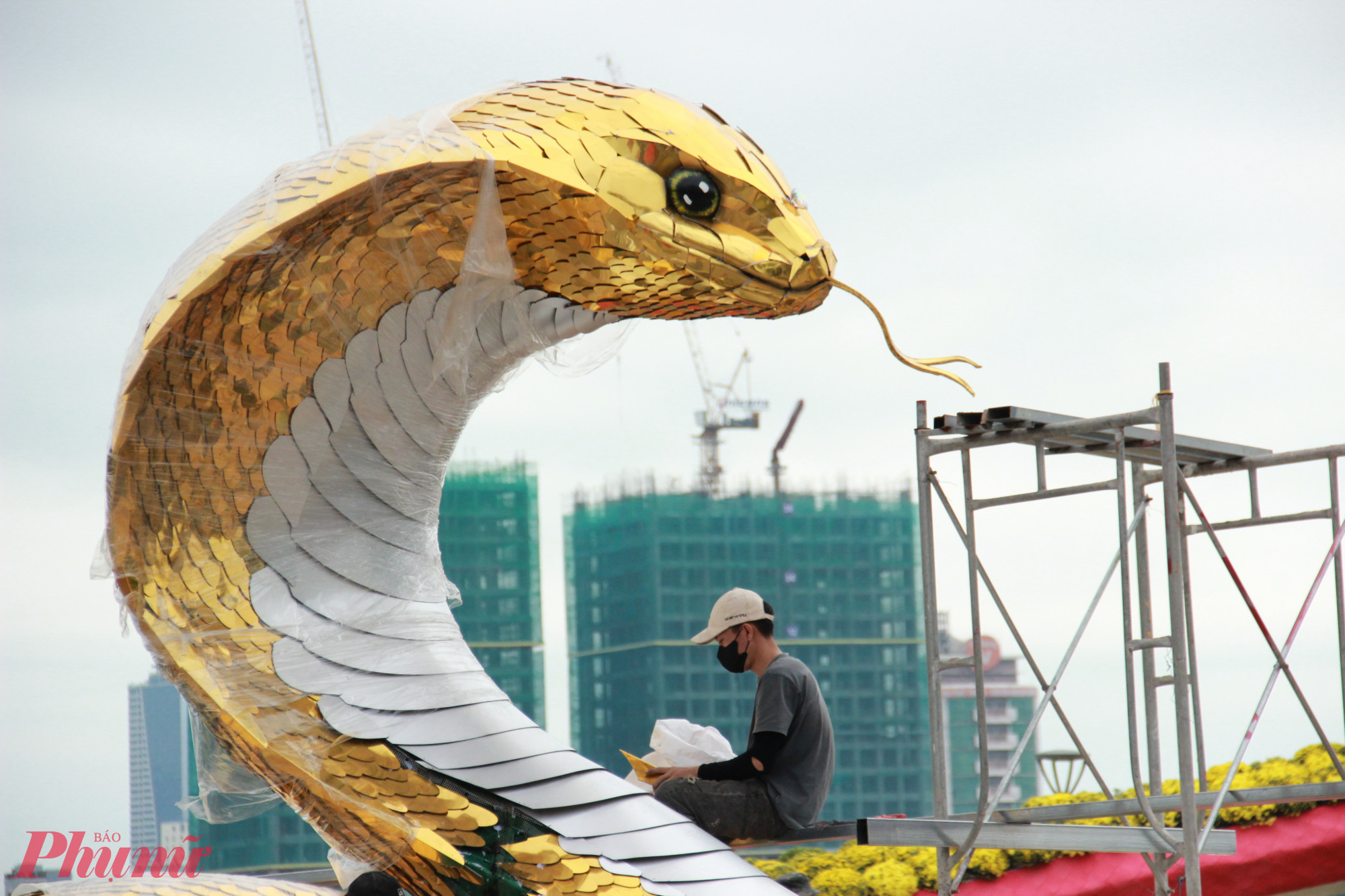 Đ&acirc;y l&agrave; một trong hai linh vật rắn m&agrave; TP Đ&agrave; Nẵng đặt h&agrave;ng anh T&acirc;m.