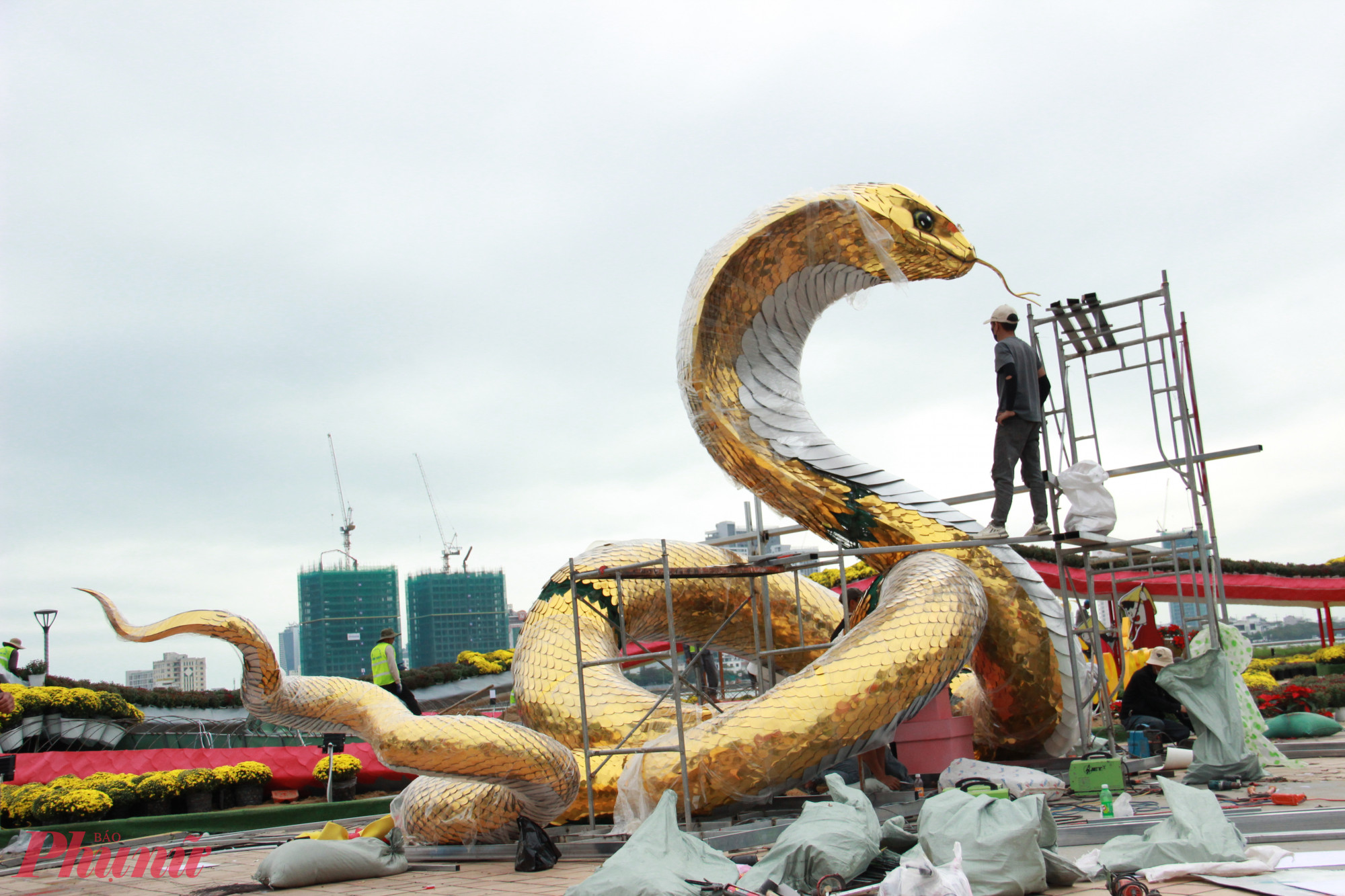 Tổng chiều d&agrave;i khoảng 8m