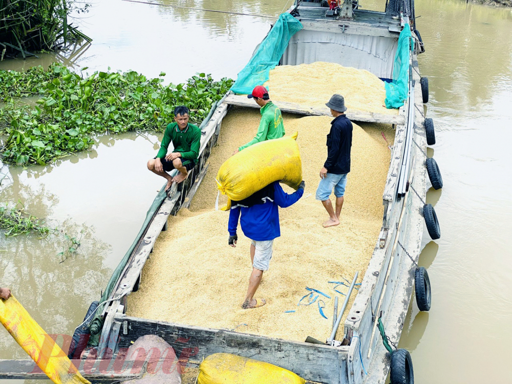 Xuất khẩu gạo ghi dấu mốc sau 35 năm trở lại thị trường to&agrave;n cầu với lượng gạo xuất khẩu 9 triệu tấn, mang về hơn 5,7 tỉ USD - Ảnh: Huỳnh Lợi