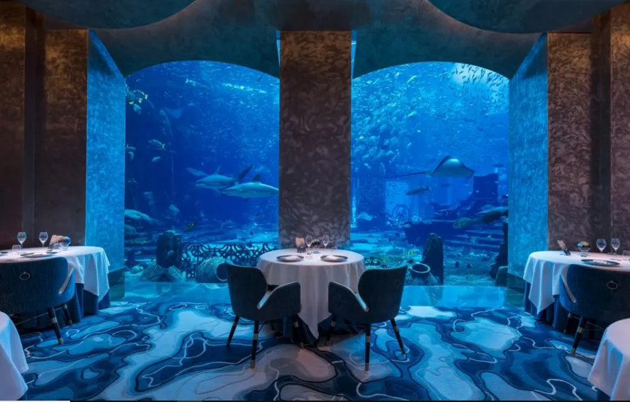 Ăn tối sang trọng dưới biển ở Dubai (UAE): Bạn c&oacute; thể ăn b&ecirc;n cạnh c&aacute;c sinh vật biển tại nh&agrave; h&agrave;ng Ossiano ở khu nghỉ dưỡng Atlantis ở Dubai. Ossiano nằm dưới nước n&ecirc;n được bao quanh bởi những rạn san h&ocirc; rực rỡ, c&aacute; mập, c&aacute; đuối gai độc, đ&agrave;n c&aacute; đầy m&agrave;u sắc. Thực kh&aacute;ch vừa ăn trong nh&agrave; h&agrave;ng gắn sao Michelin vừa h&ograve;a với thi&ecirc;n nhi&ecirc;n th&igrave; qu&aacute; tuyệt. Ảnh tr&ecirc;n: Ăn tối dưới nước tại Ossiano - Ảnh: Ossiano at Atlantis,The Palm