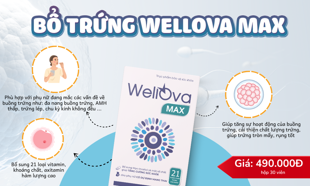 WellOva Max cải thiện chất lượng trứng cho phụ nữ đang gặp c&aacute;c vấn đề về buồng trứng