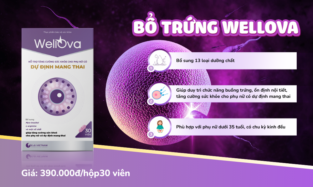 WellOva duy tr&igrave; chất lượng trứng cho phụ nữ c&oacute; chu kỳ kinh đều