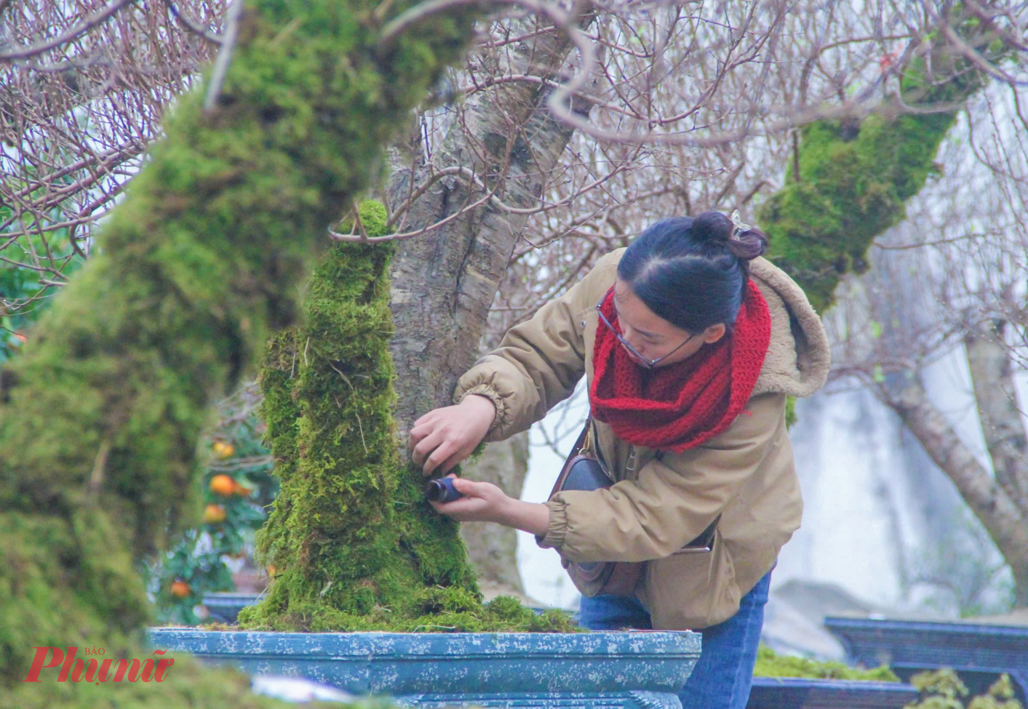 Gi&aacute; b&aacute;n cao, anh Qu&acirc;n phải &ldquo;mặc &aacute;o&rdquo; cho đ&agrave;o, nhất chi mai bằng lớp r&ecirc;u xanh để thu h&uacute;t th&ecirc;m kh&aacute;ch h&agrave;ng.