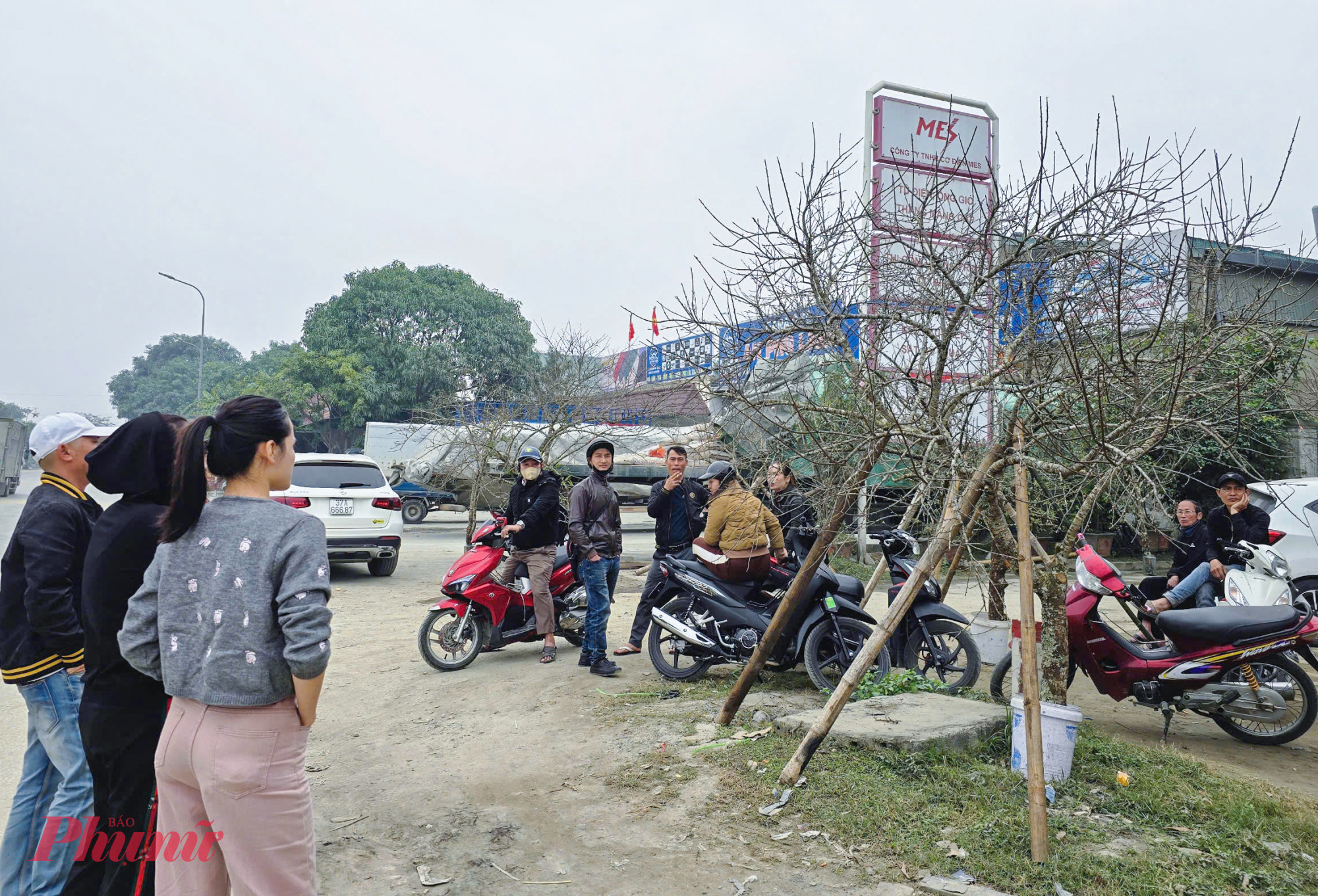 Tết Nguy&ecirc;n đ&aacute;n Ất Tỵ chỉ c&ograve;n hơn 1 tuần, song thời điểm n&agrave;y đ&agrave;o đ&aacute; vẫn rất khan hiếm tr&ecirc;n thị trường hoa tết ở TP Vinh (tỉnh Nghệ An). Anh Nguyễn Văn Quyền (tr&uacute; phường Nghi Ph&uacute;, TP Vinh) cho biết, dọc tuyến quốc lộ 46 đoạn qua x&atilde; Nghi &Acirc;n, phường Nghi Ph&uacute; (TP Vinh) được xem l&agrave; khu vực tập trung đ&agrave;o đ&aacute; của thương l&aacute;i. Thời điểm n&agrave;y c&aacute;c năm trước, đ&agrave;o đ&aacute; đ&atilde; tr&agrave;n ngập nhưng năm nay số lượng rất &iacute;t.